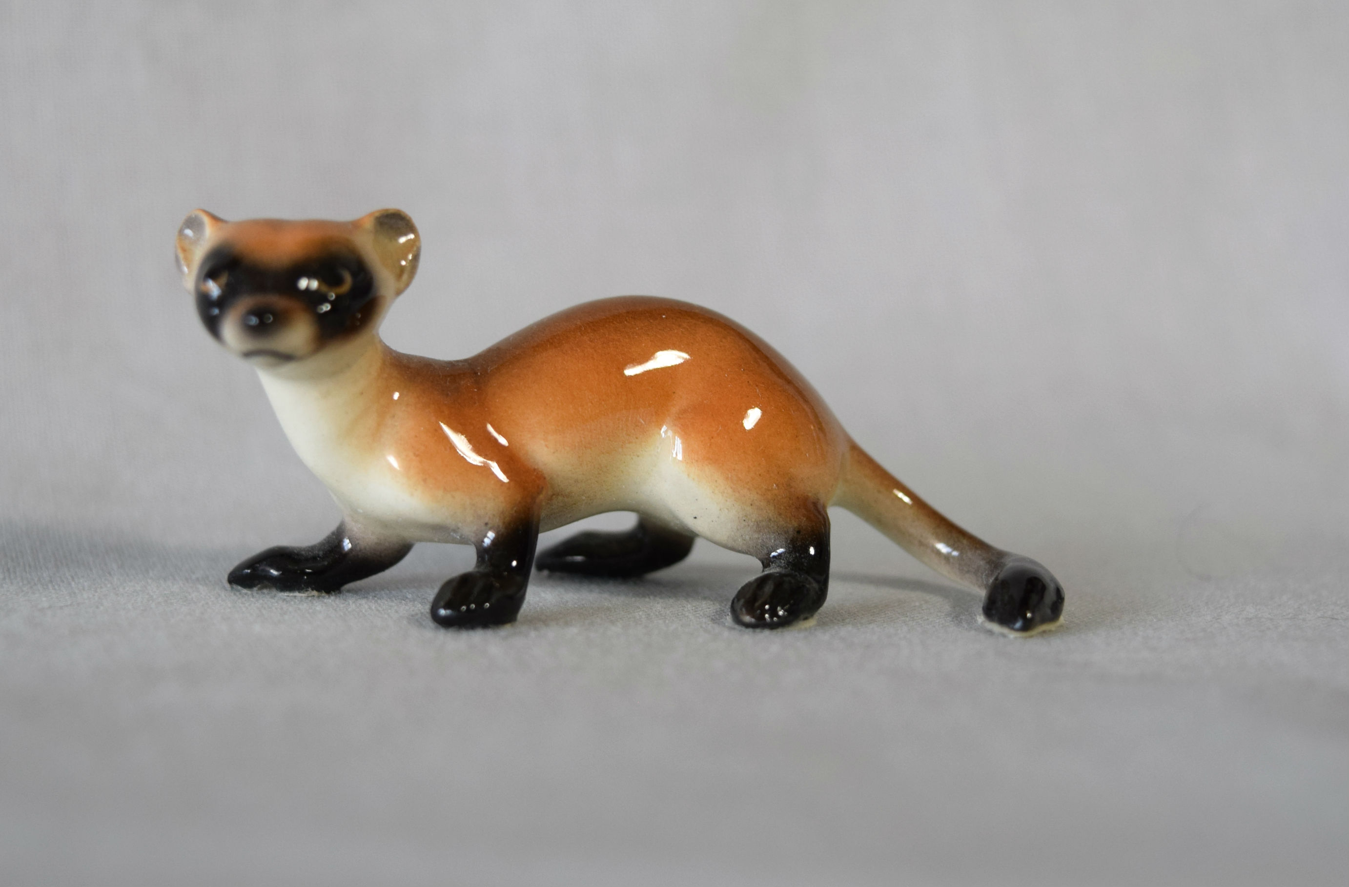 Black-Footed Ferret-image