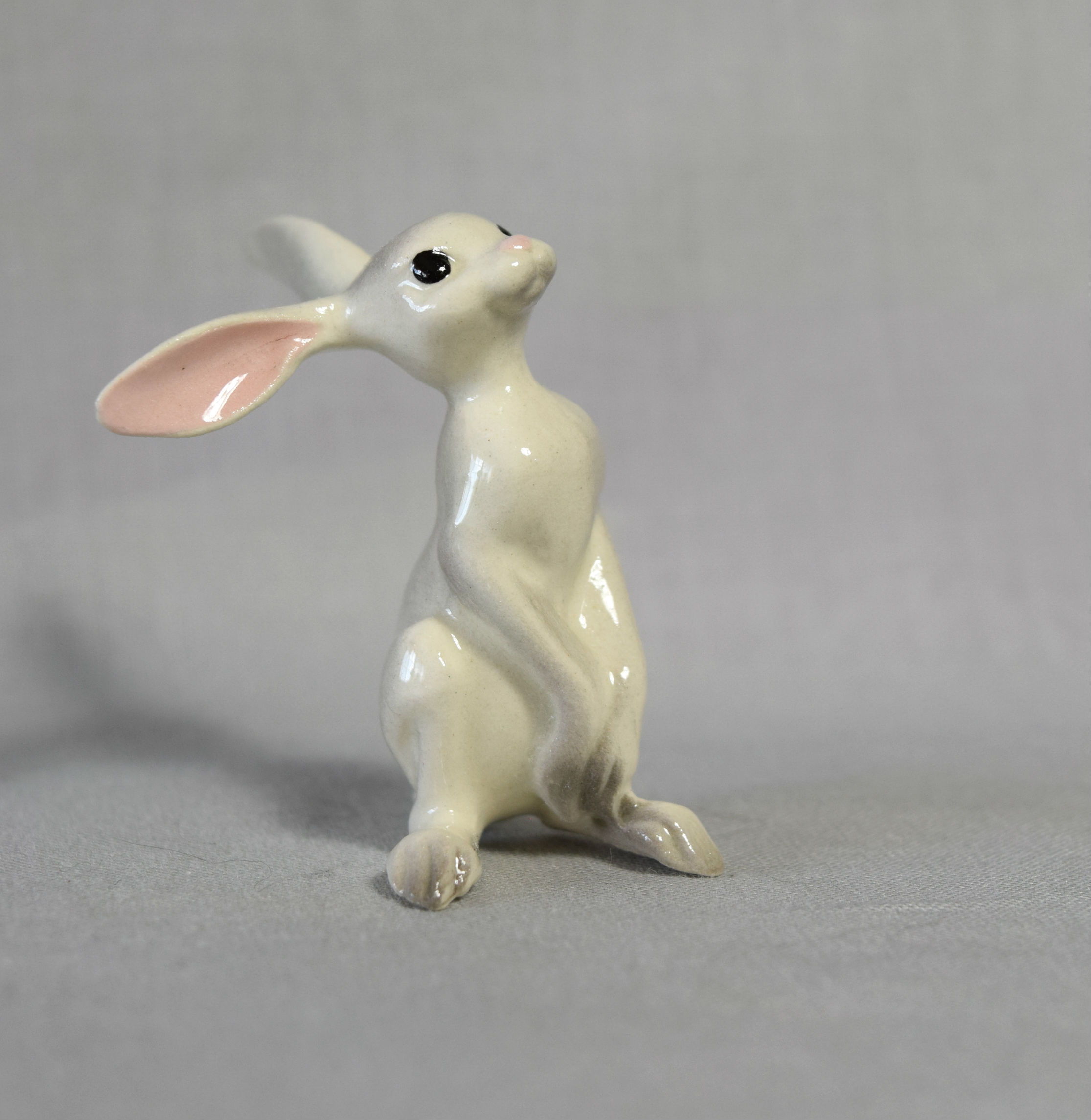 Jack Rabbit, seated-image