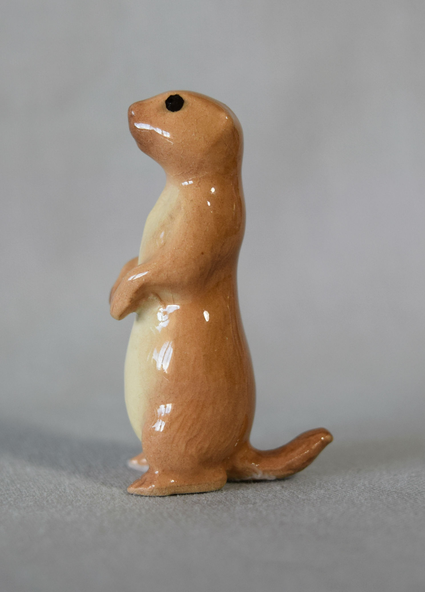 Prairie Dog-image