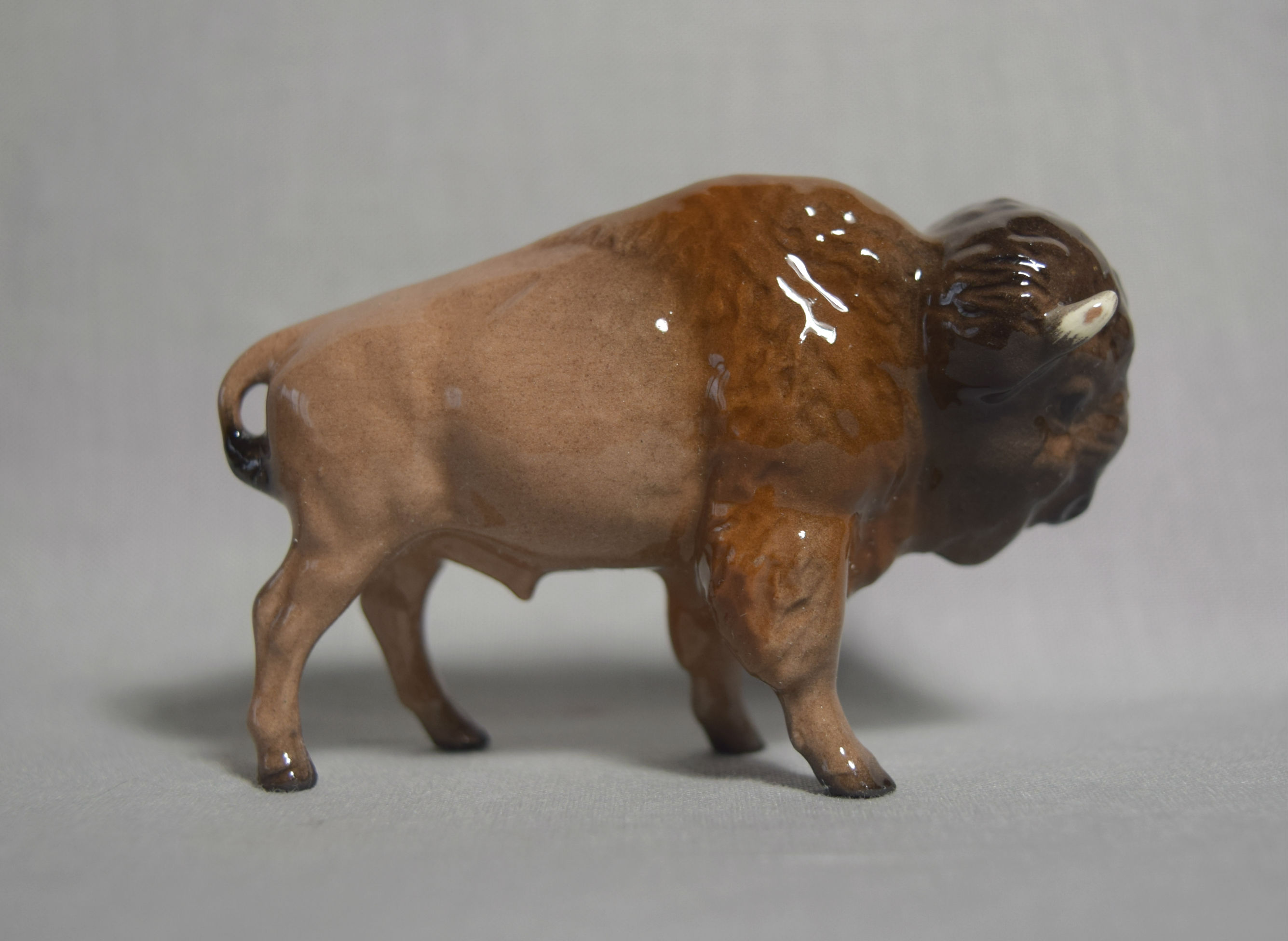 Buffalo-image