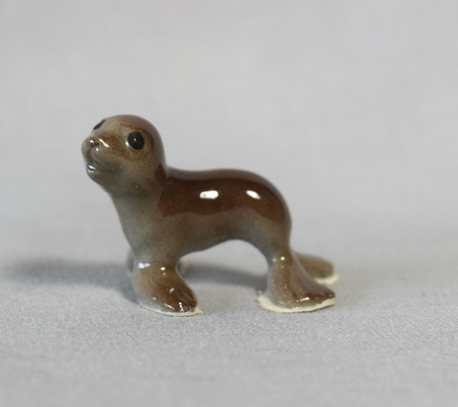 Seal Pup-image