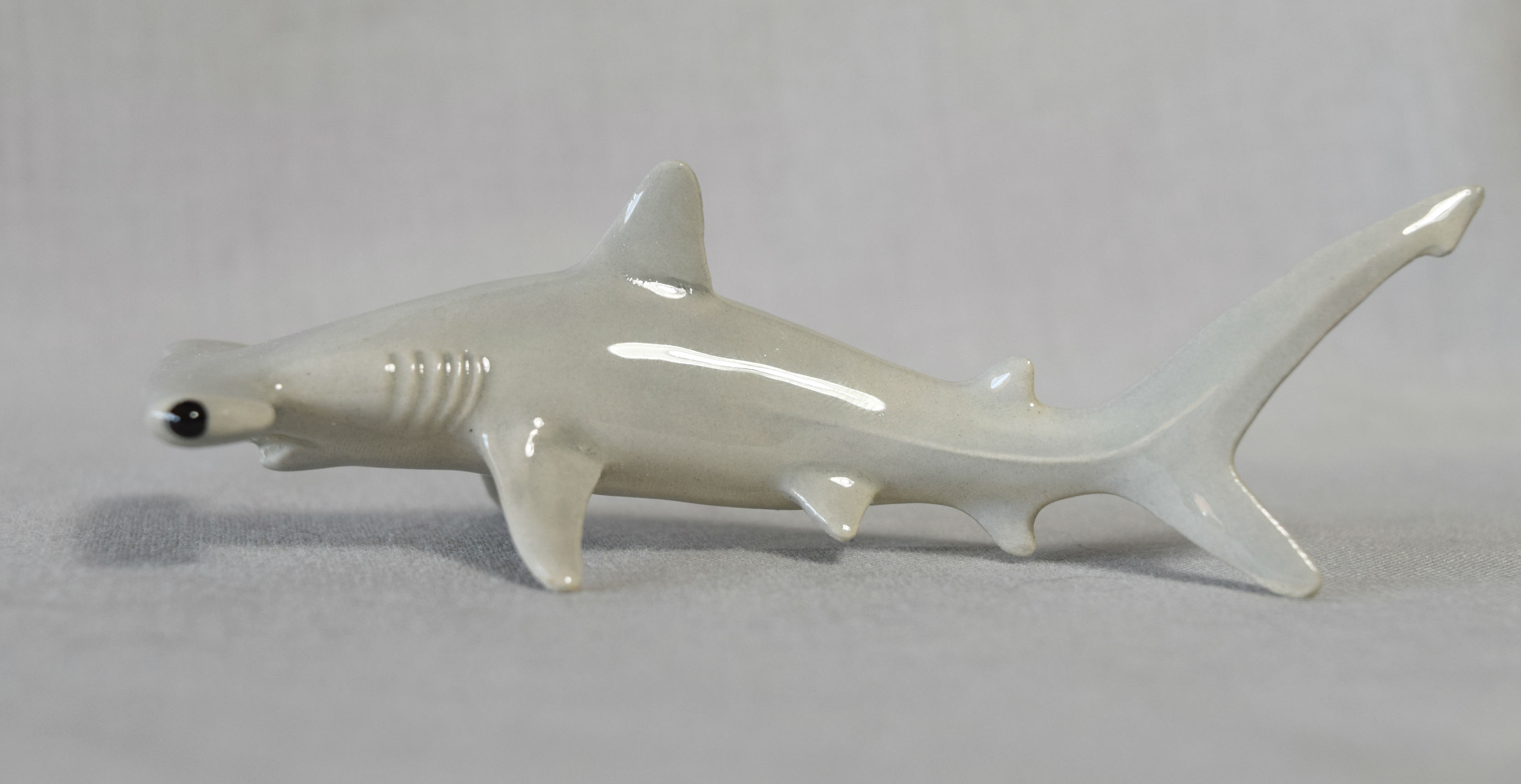 Hammerhead Shark-image
