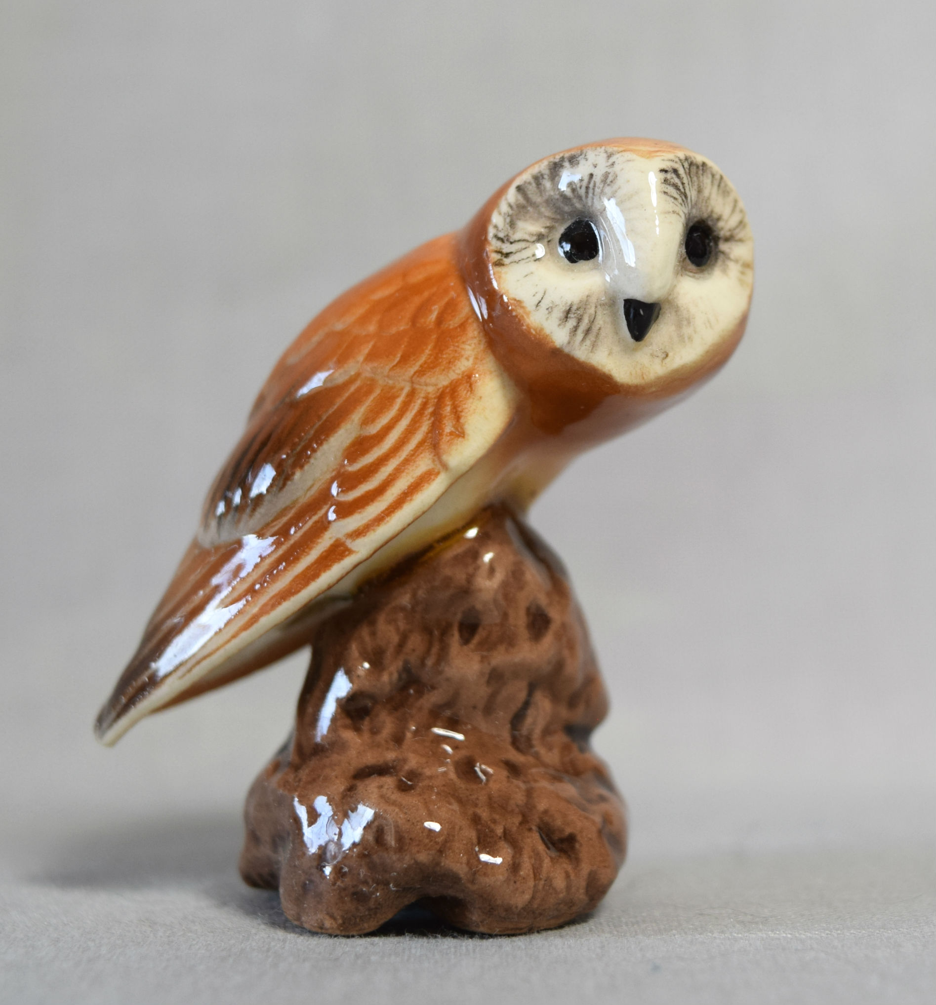 Barn Owl, on stump main image
