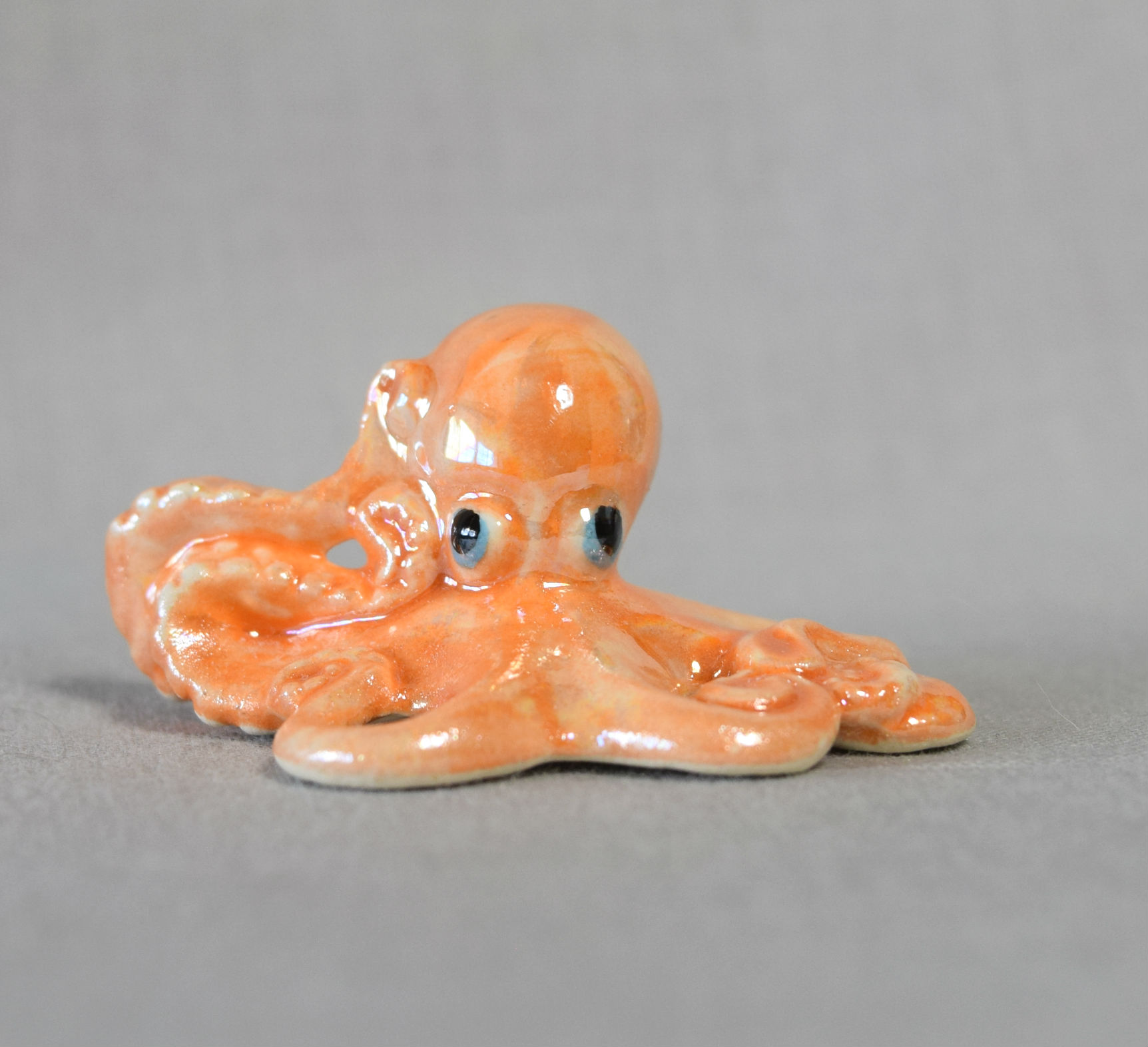 Octopus main image