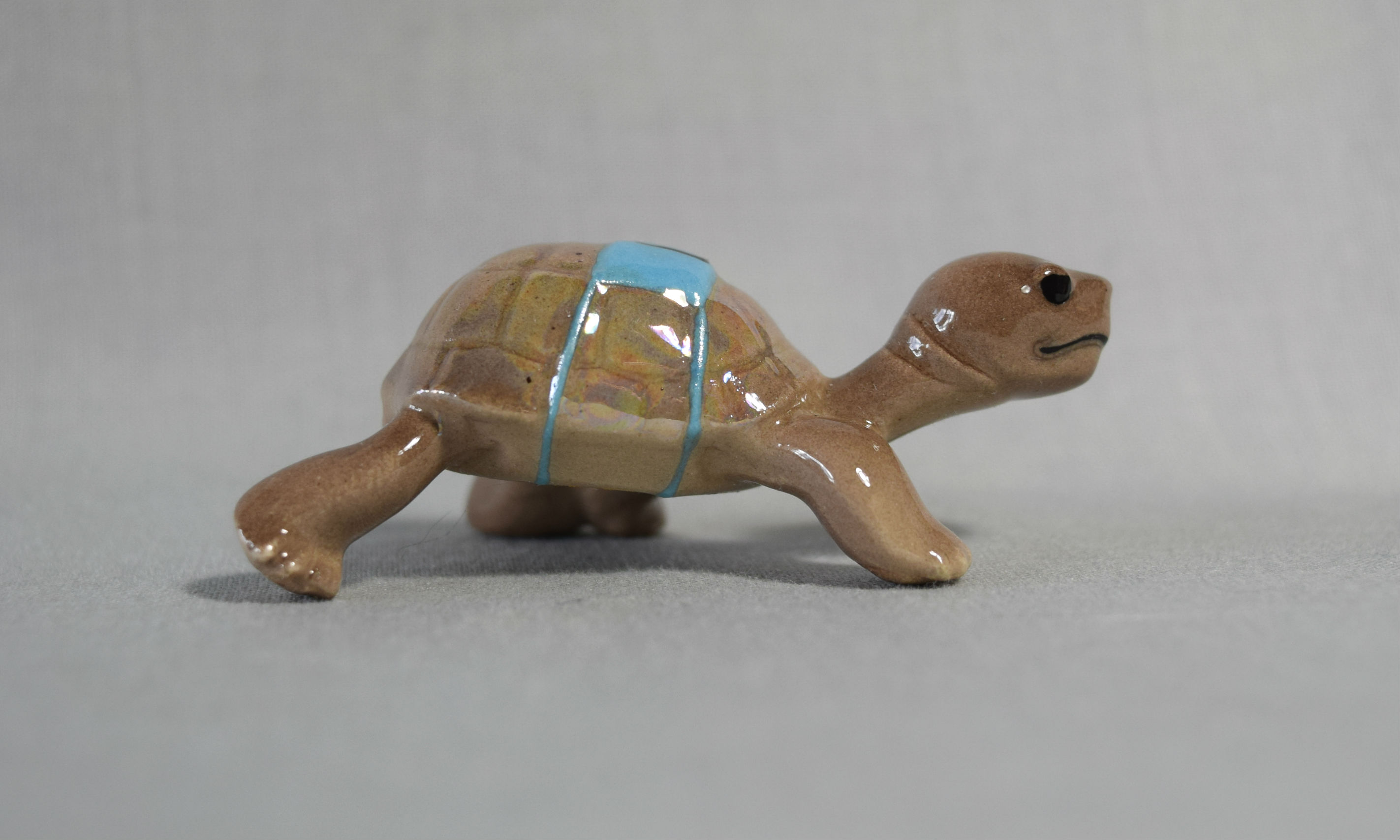 Racing Tortoise-image