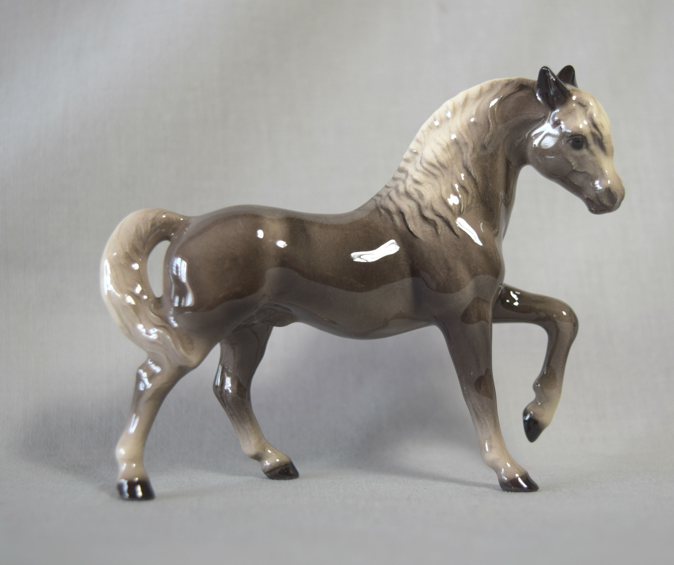 New Morgan Stallion-image