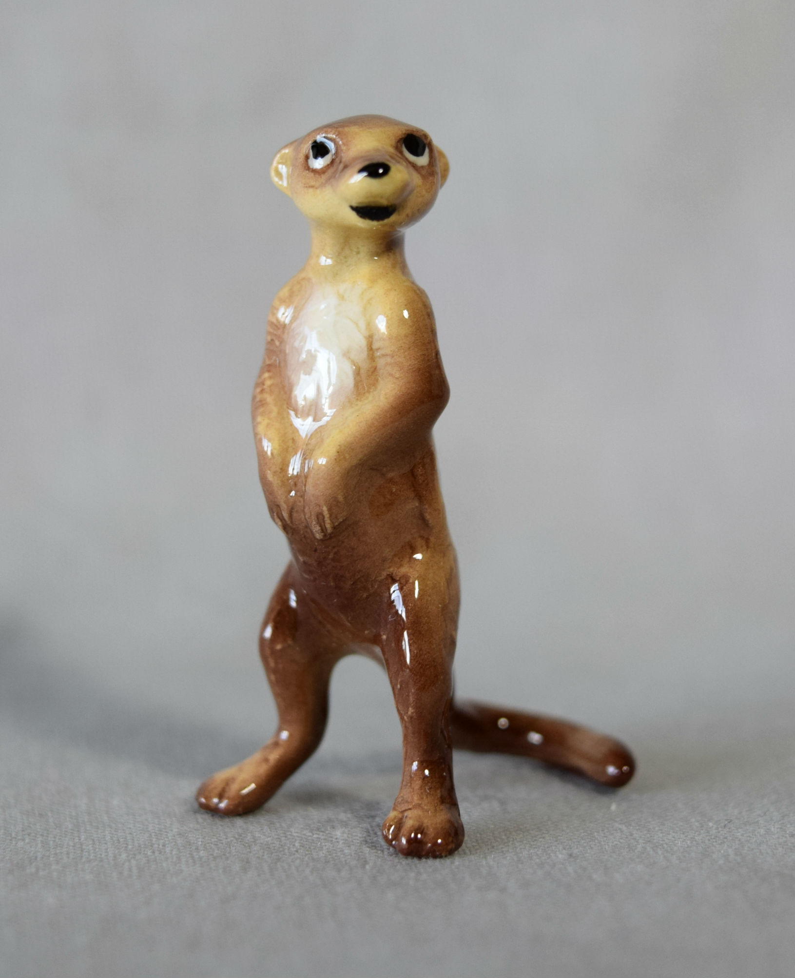 Meerkat-image