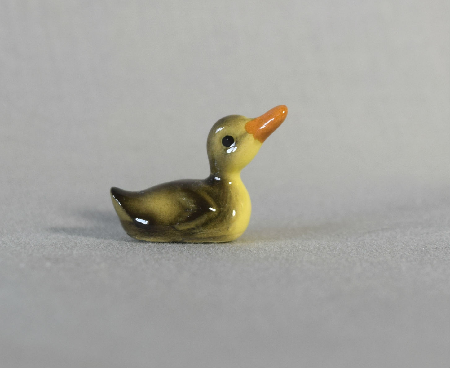 Mallard Duckling, swimming main image