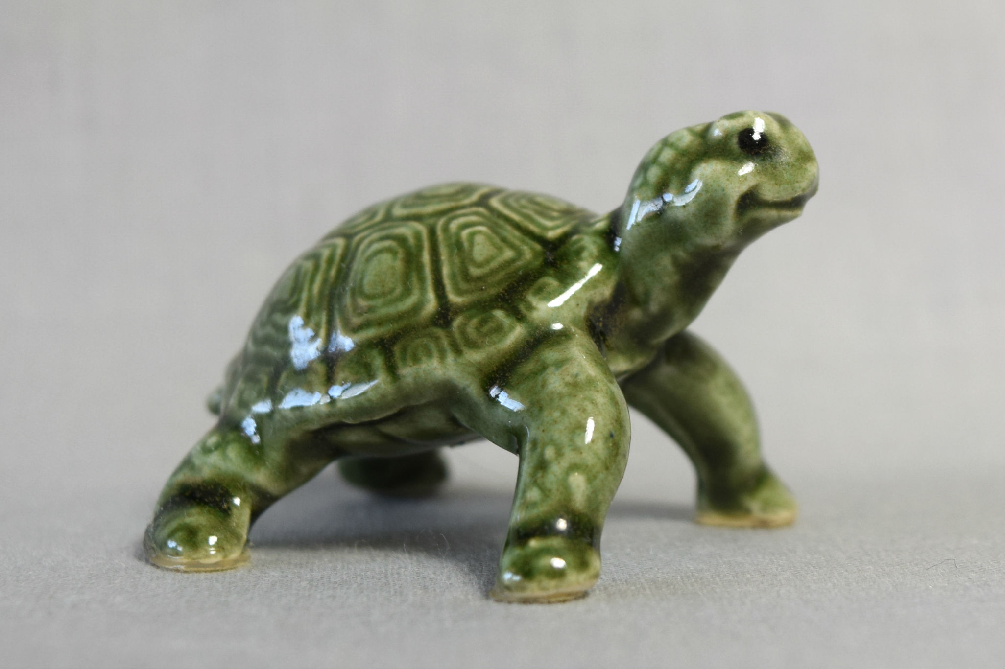 Coin Turtle-image