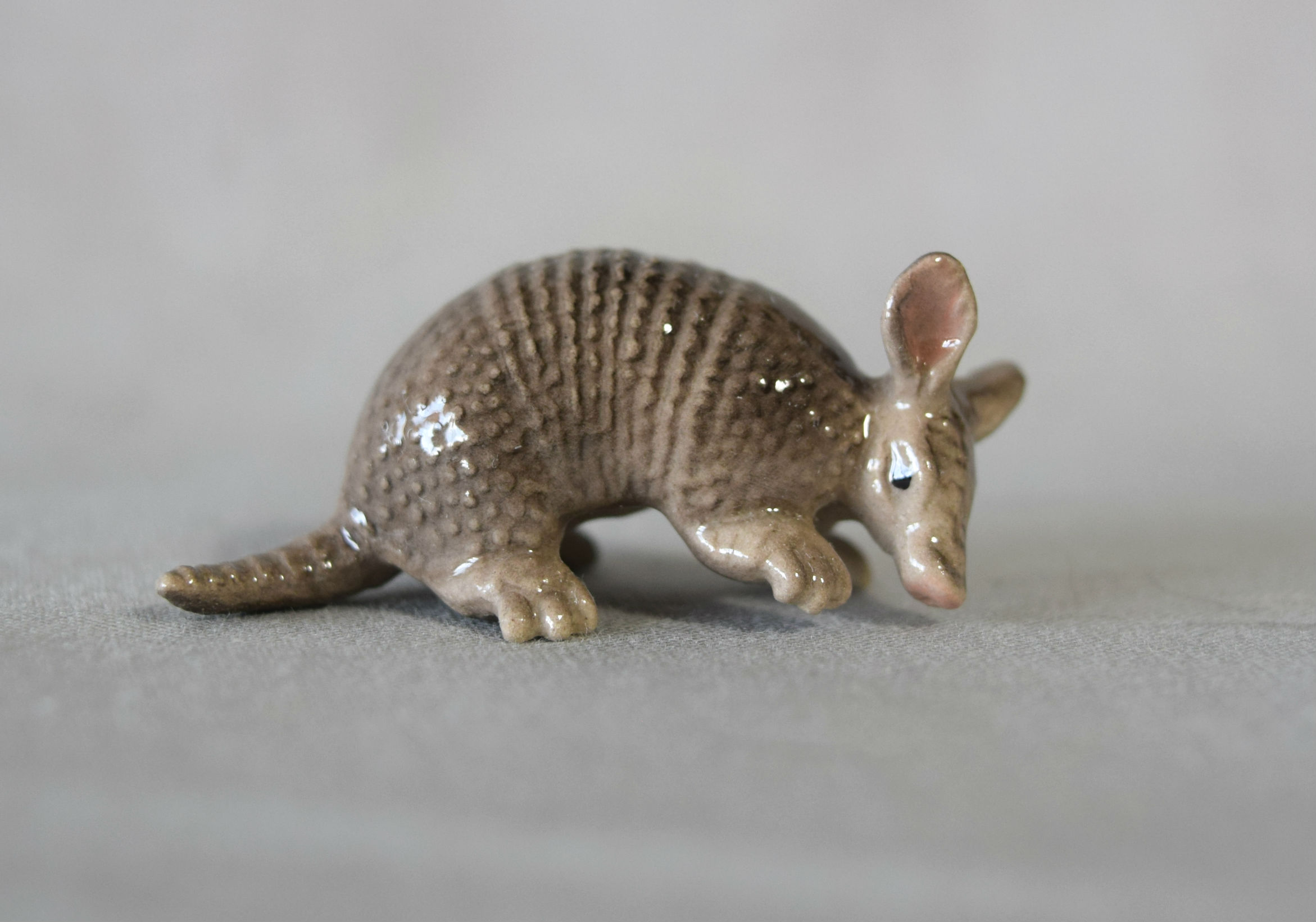 Armadillo-image