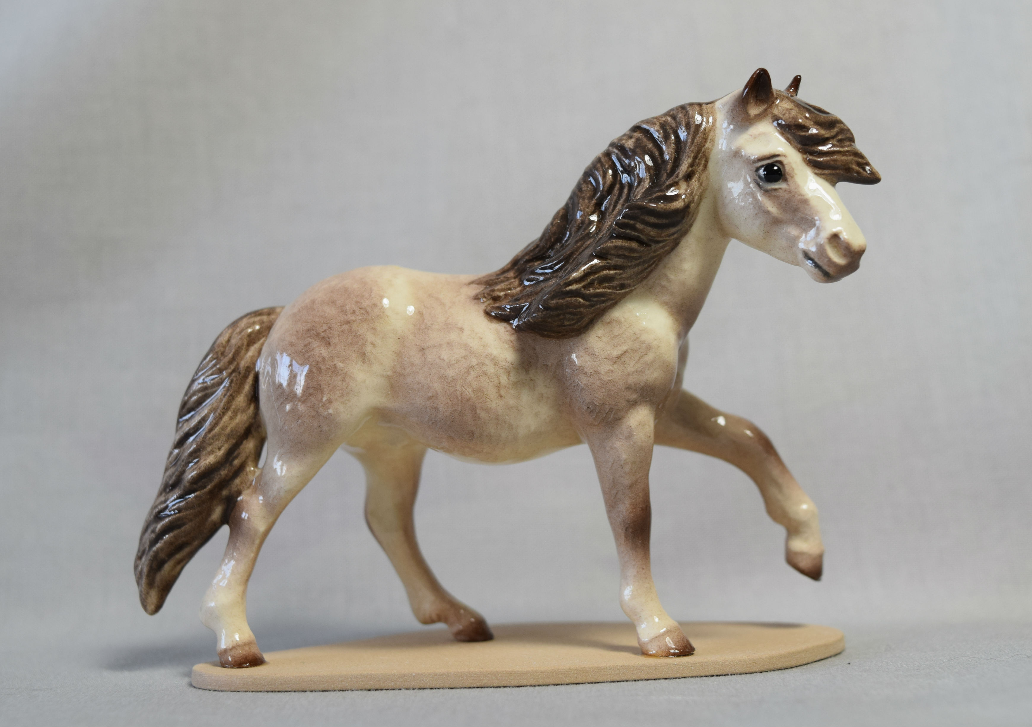 Highland Pony Stallion-image