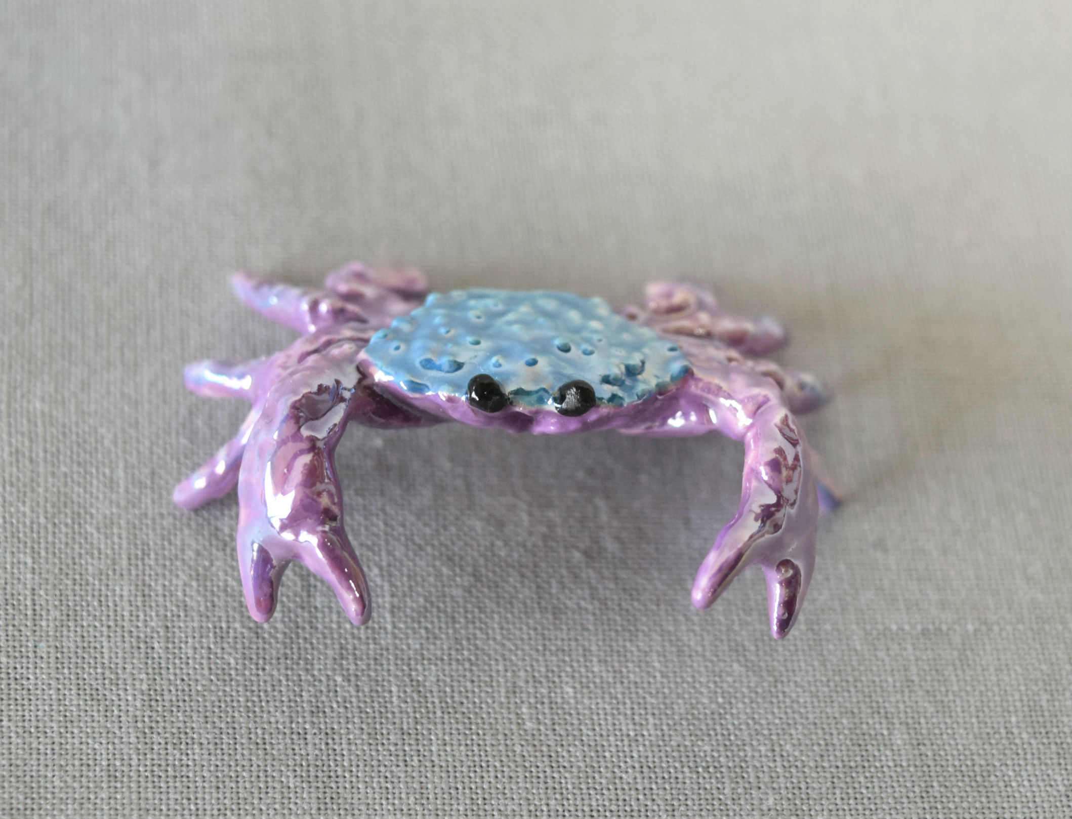 Crab main image