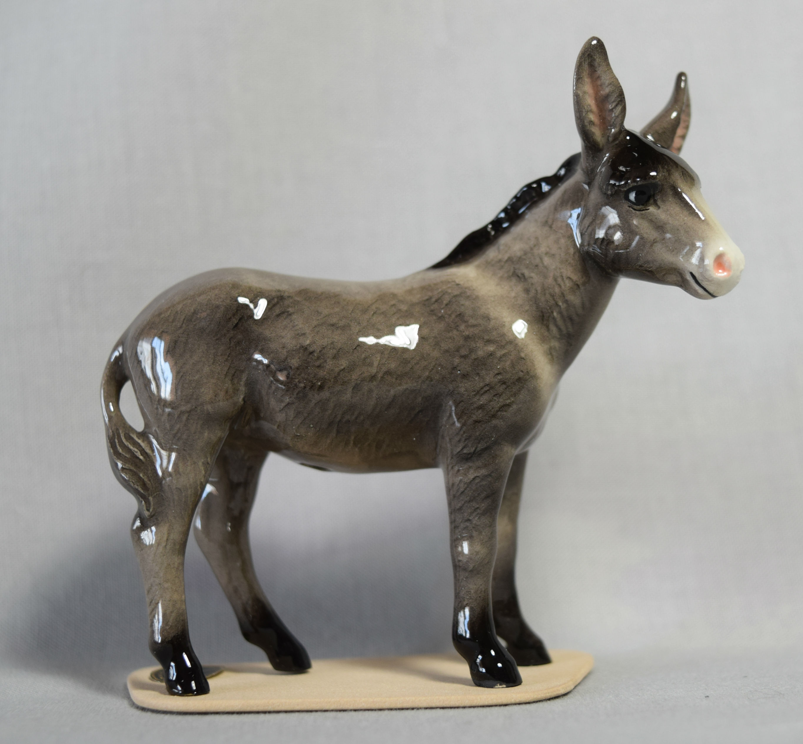 Donkey on base-image