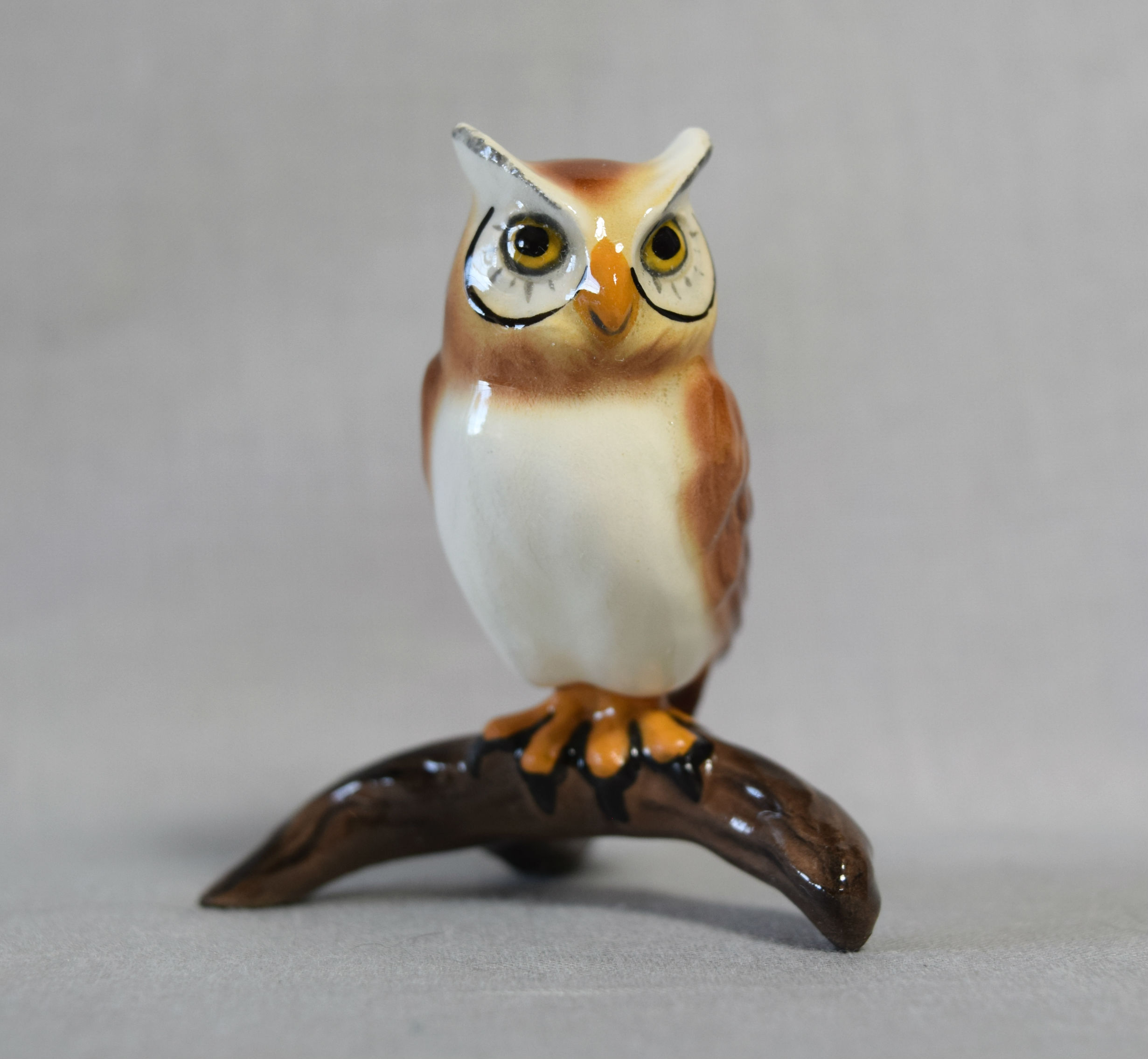 Horned Owl main image