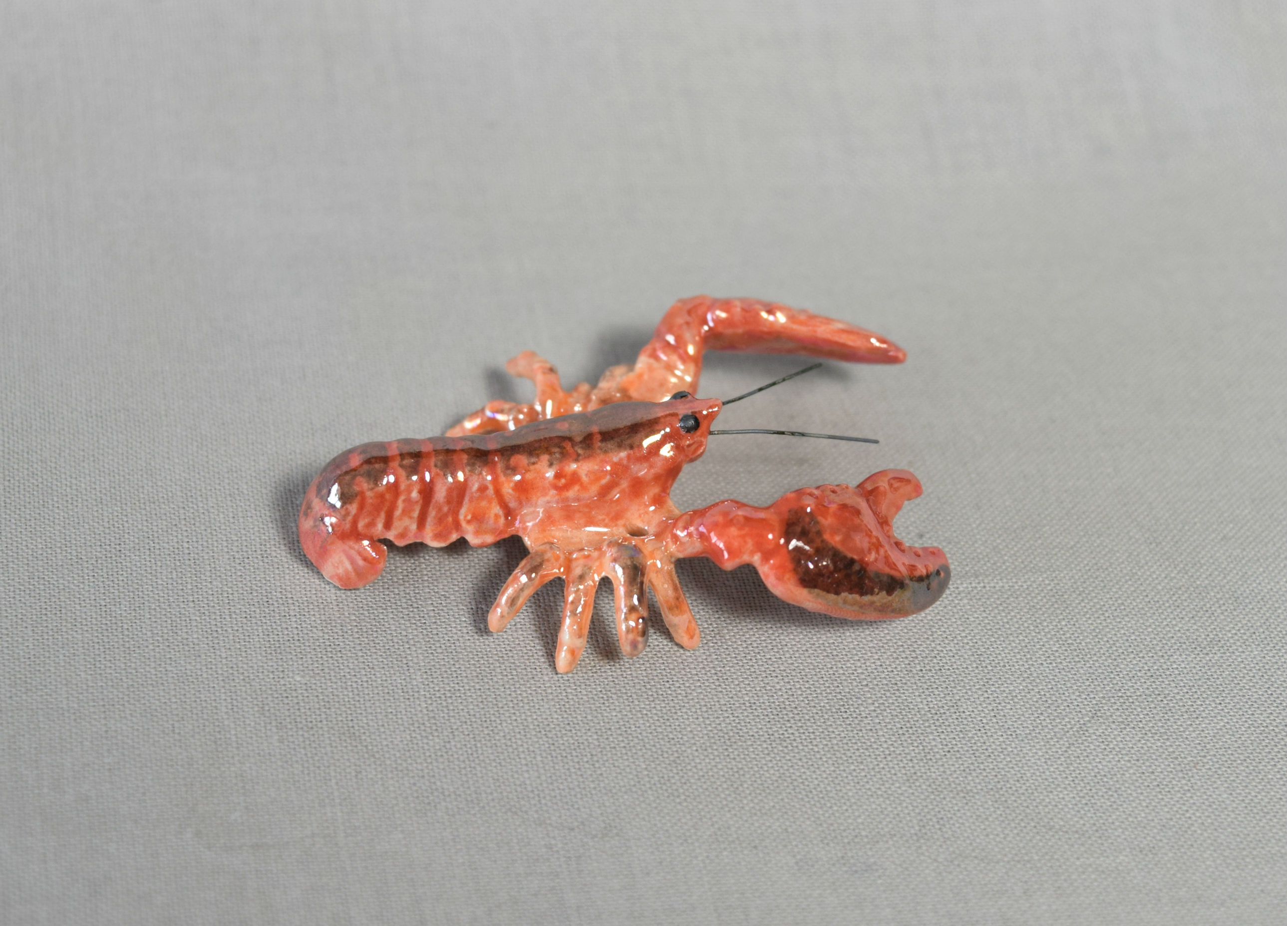 Lobster main image