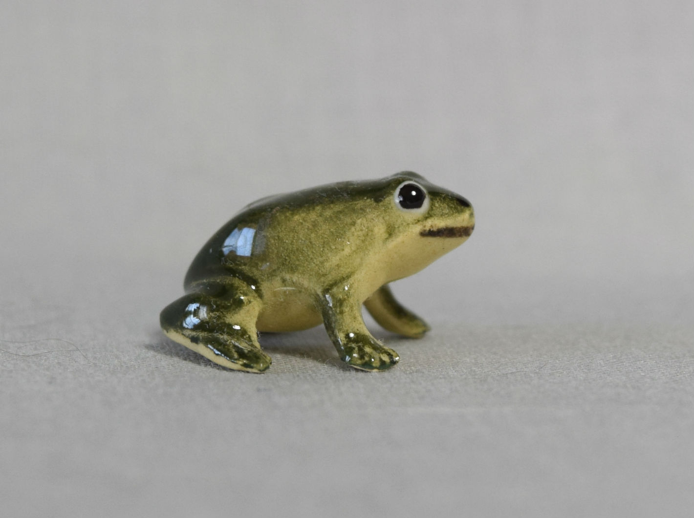 Bullfrog Baby-image