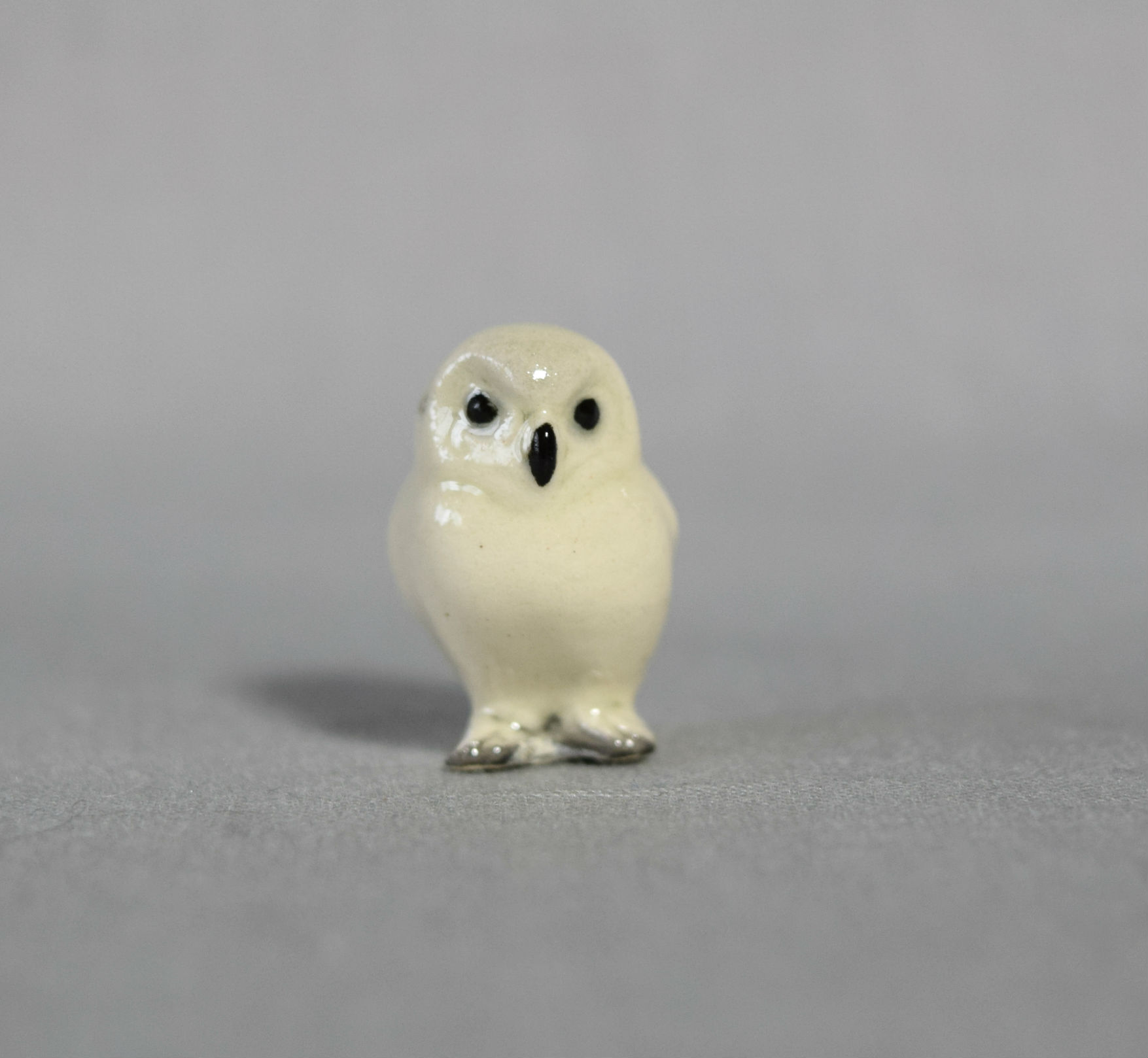 Snowy Owl Baby -image