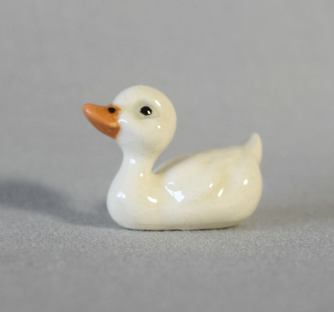 Short-billed Duck Mama-image