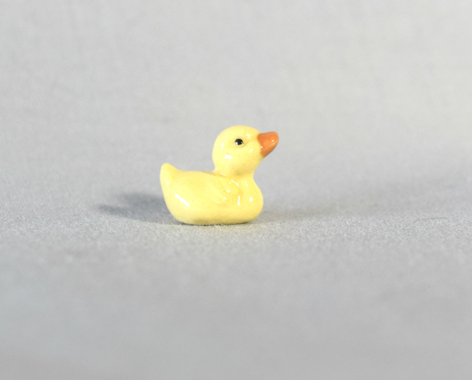 Short-Billed Duckling-image