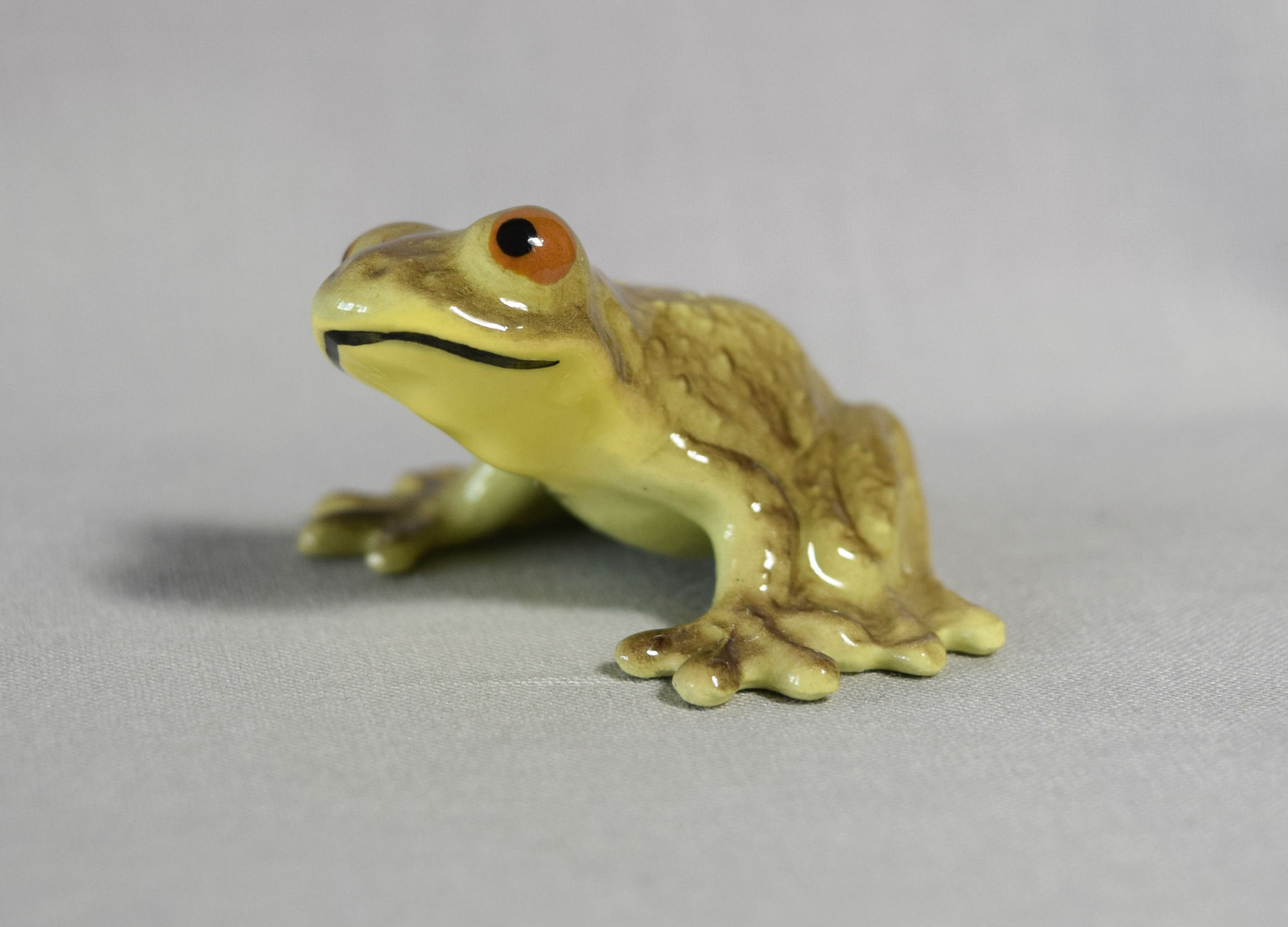 Timid Frog-image