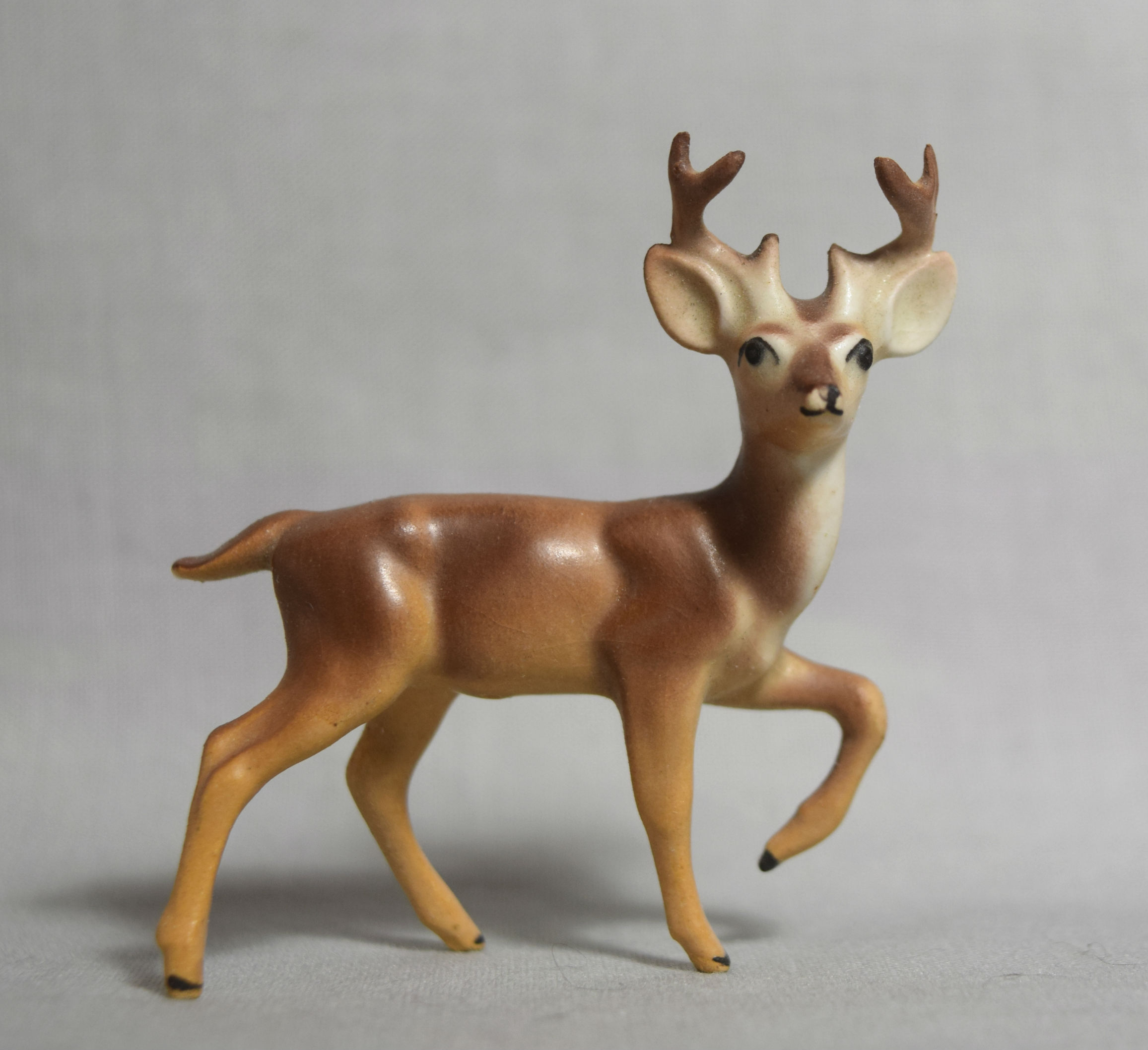 Tiny Buck-image