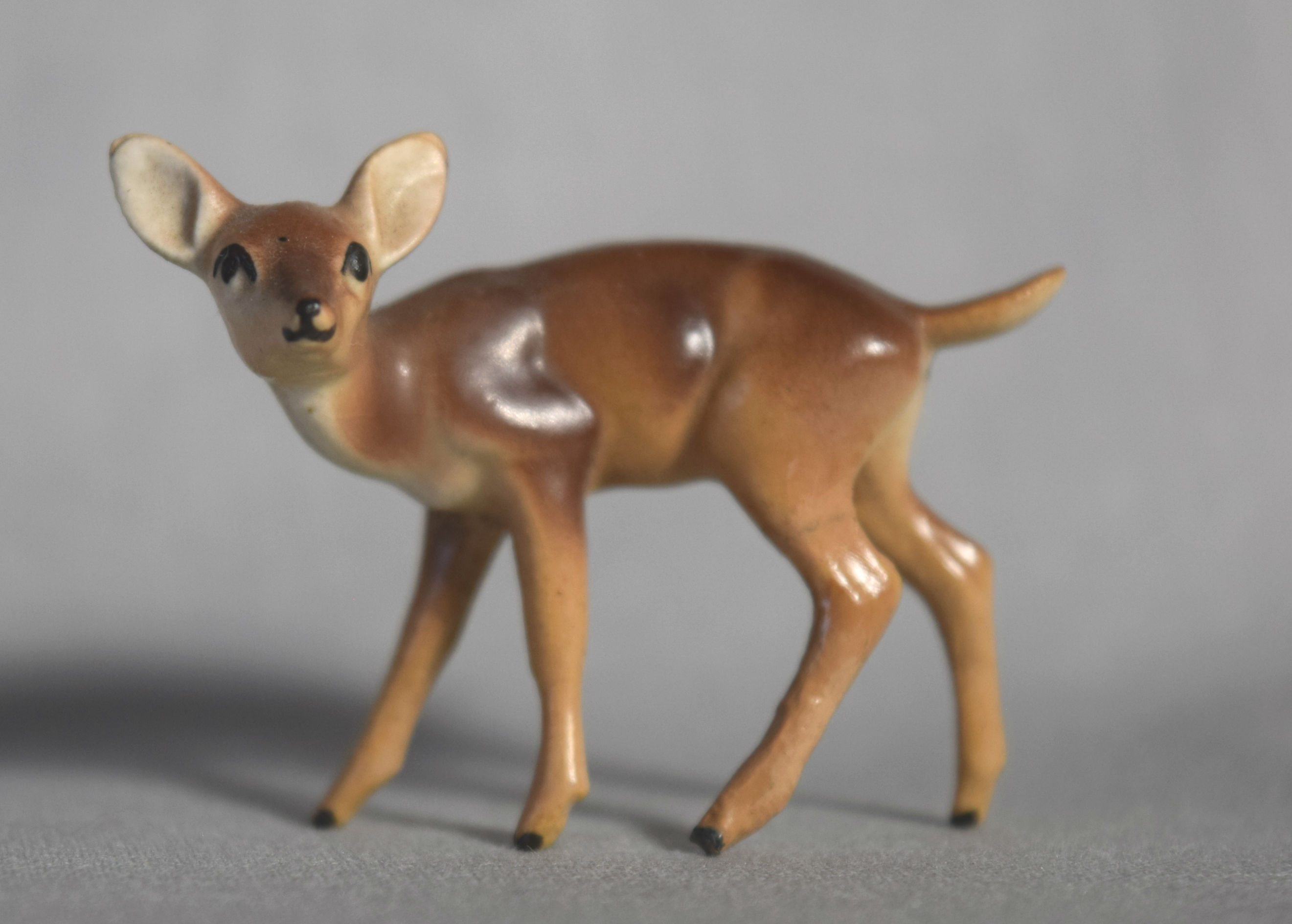 Tiny Doe-image