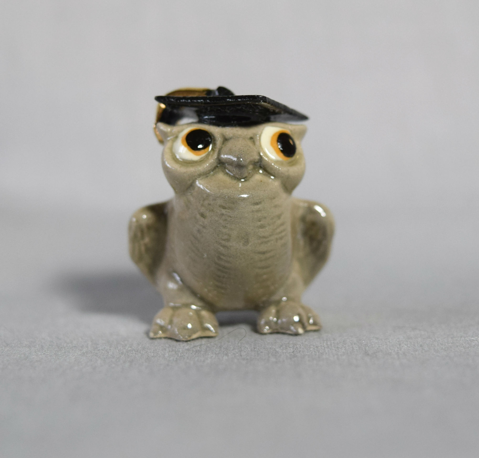 Barn Owl, standing-image