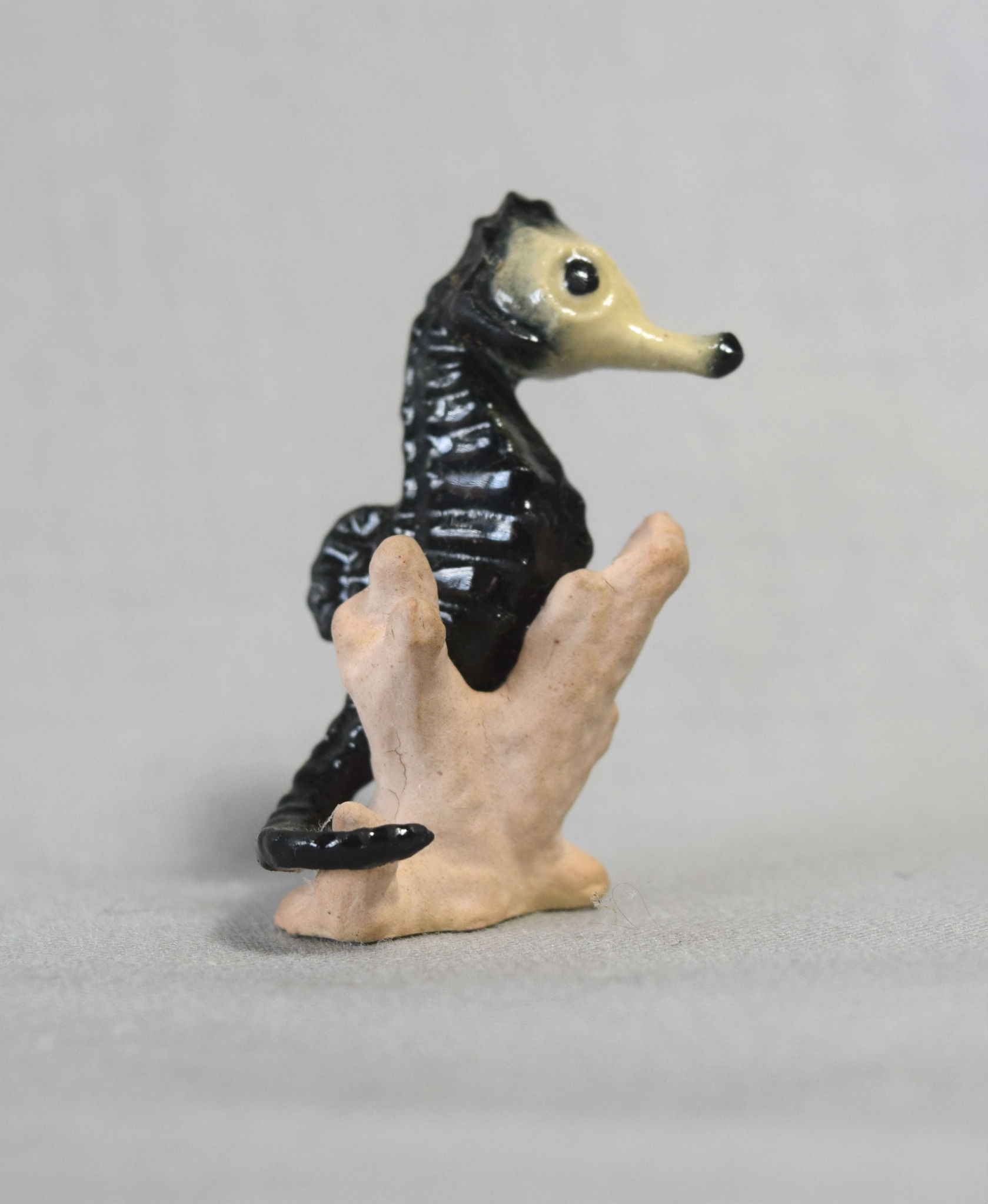 Sea Horse-image