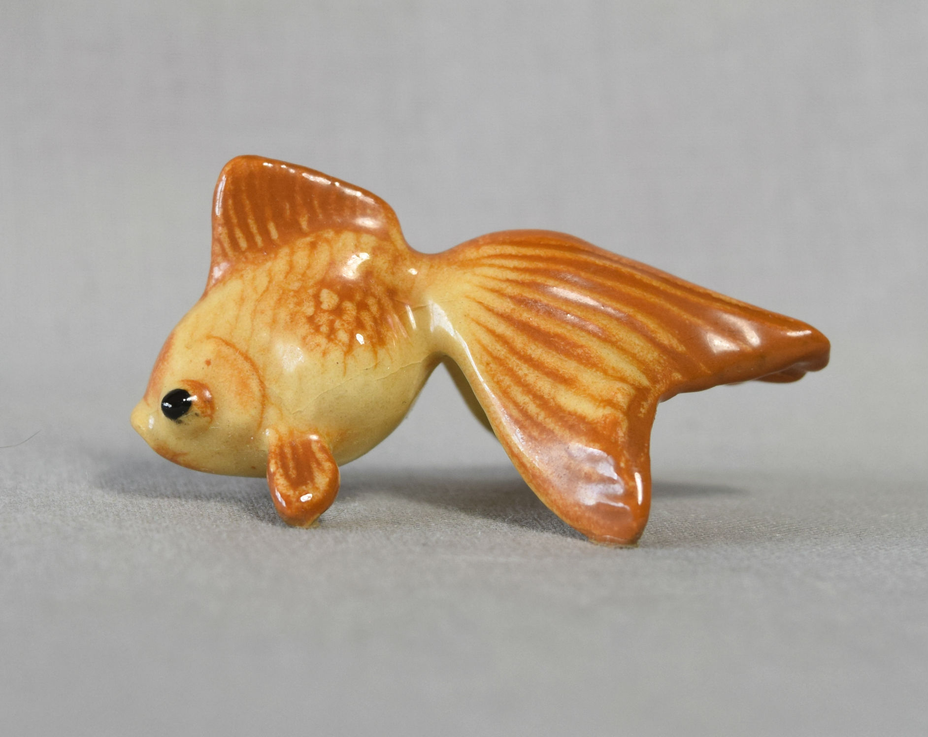 Fantail Fish-image