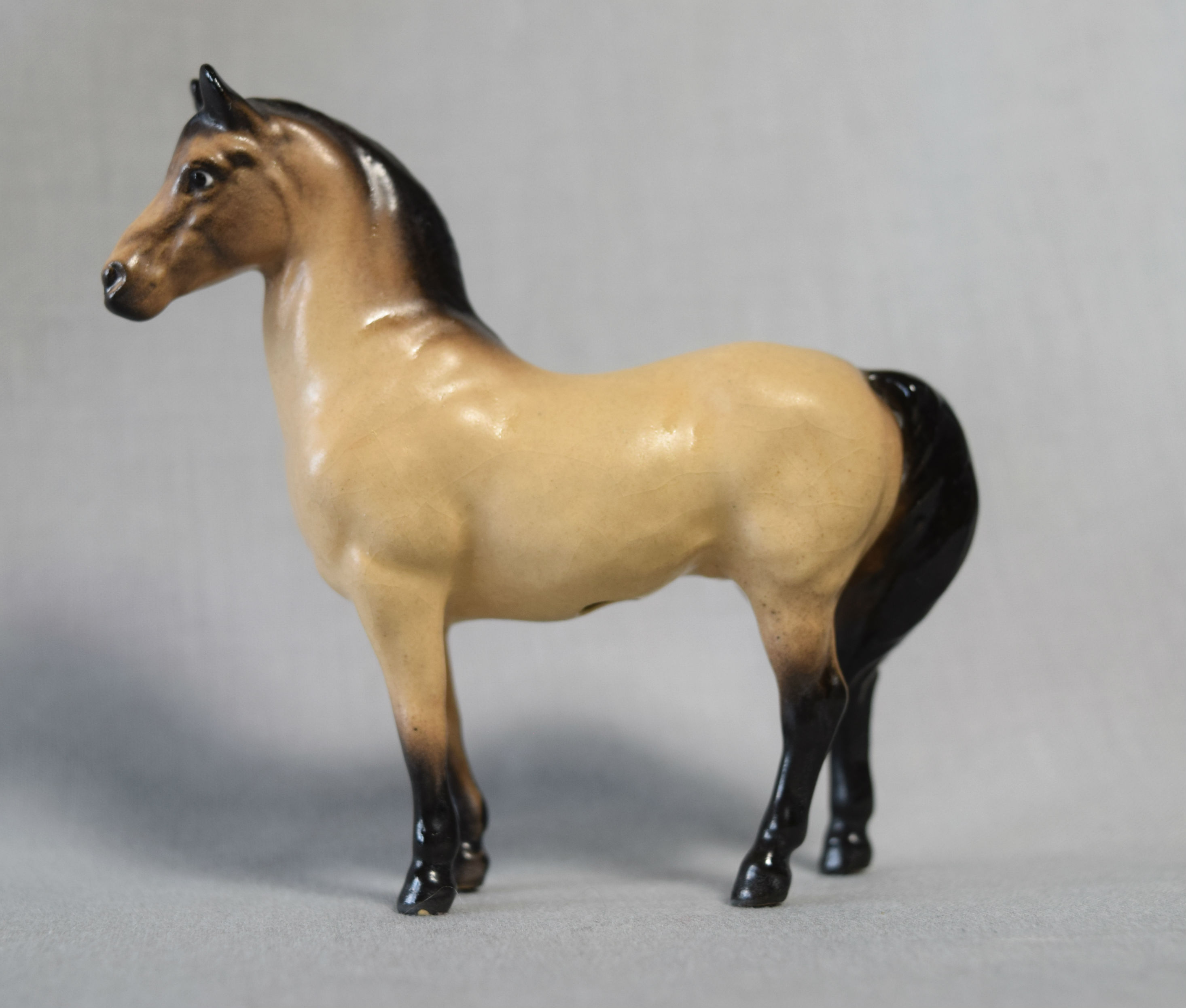 Head-up Horse-image