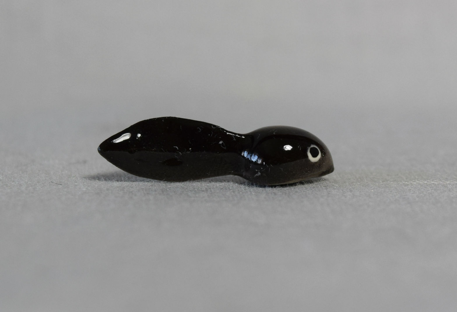 Tadpole-image