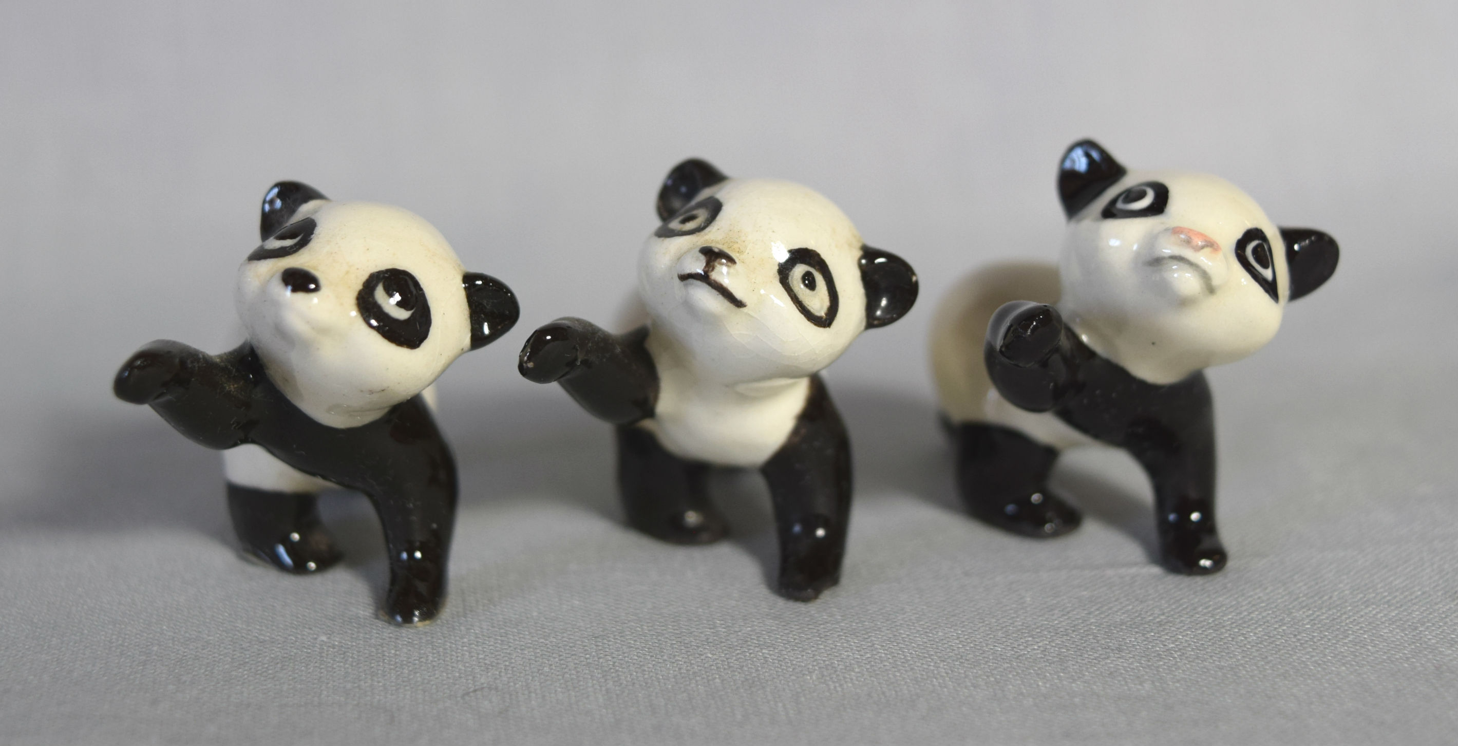 Panda on three legs, white chest-image