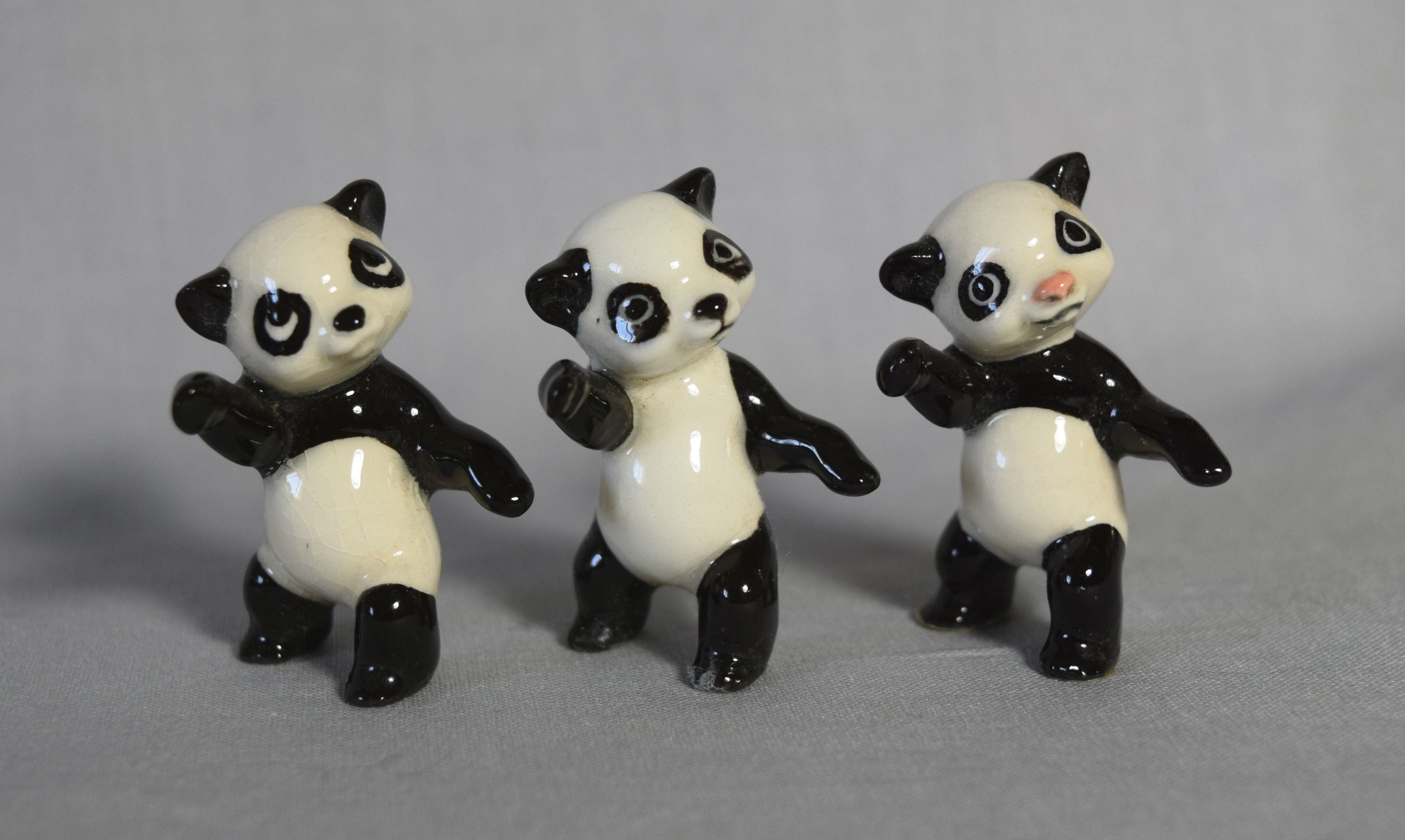 Panda, standing, white chest main image