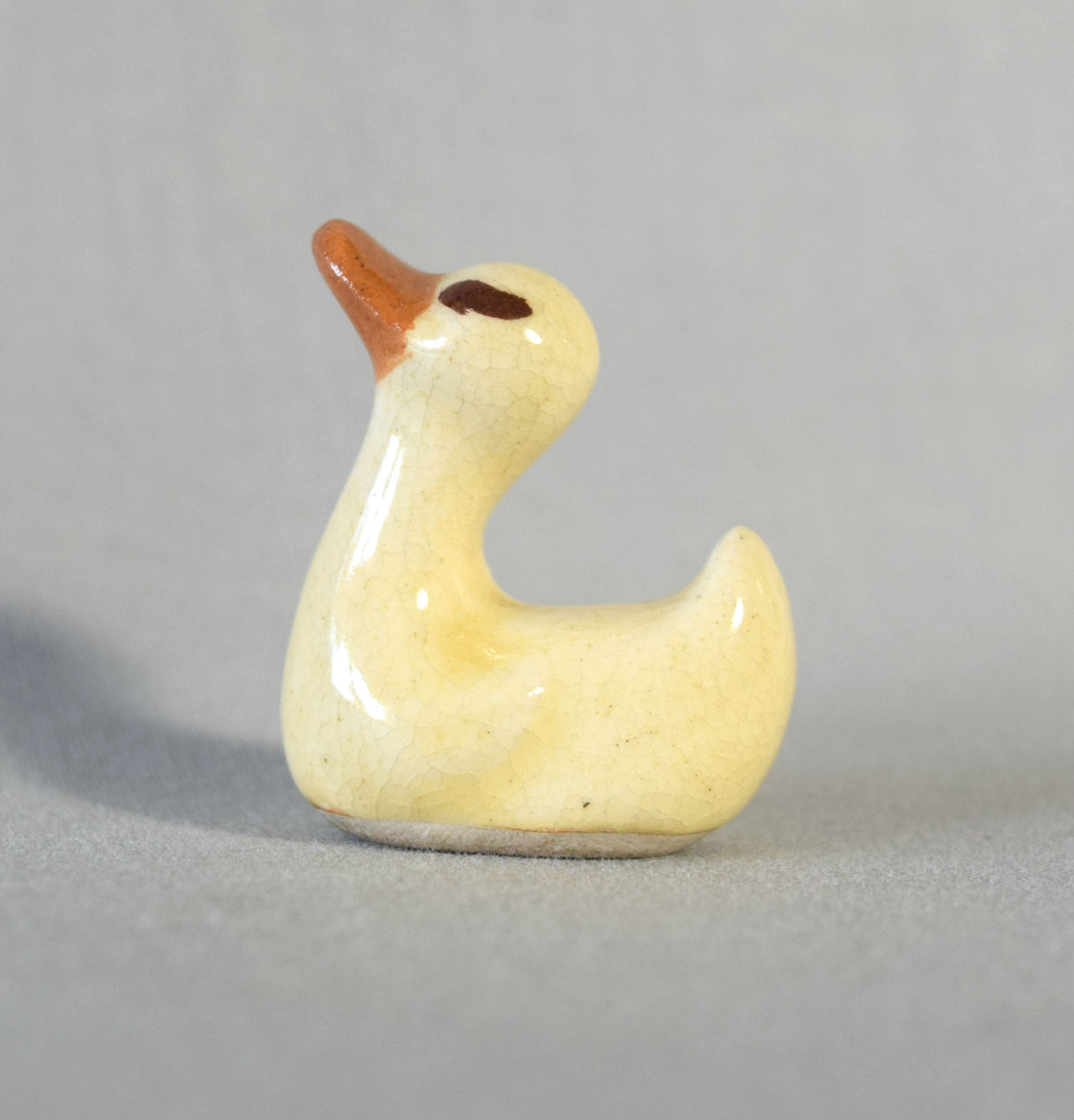 Early Duck Baby-image