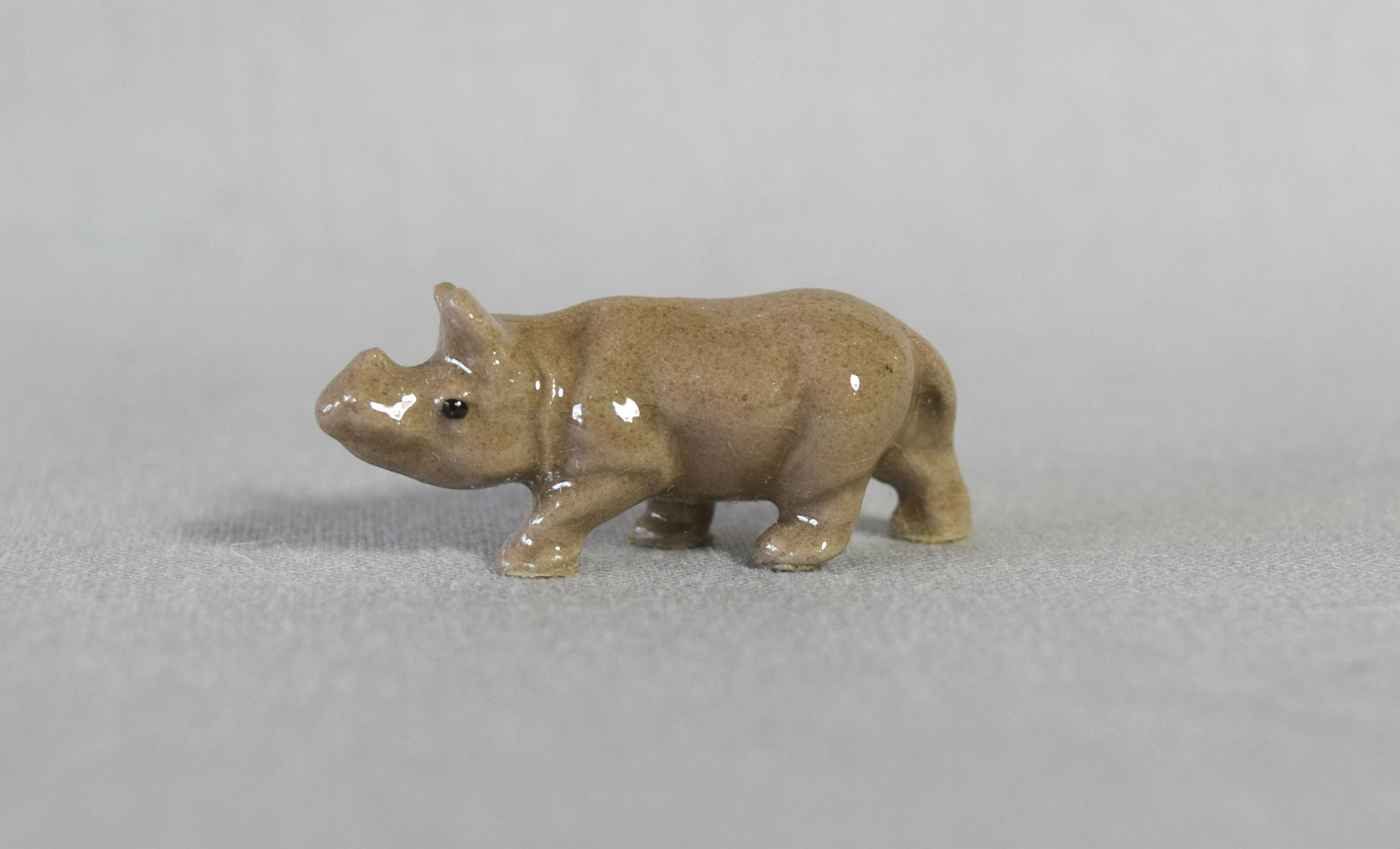 Rhinoceros Baby-image