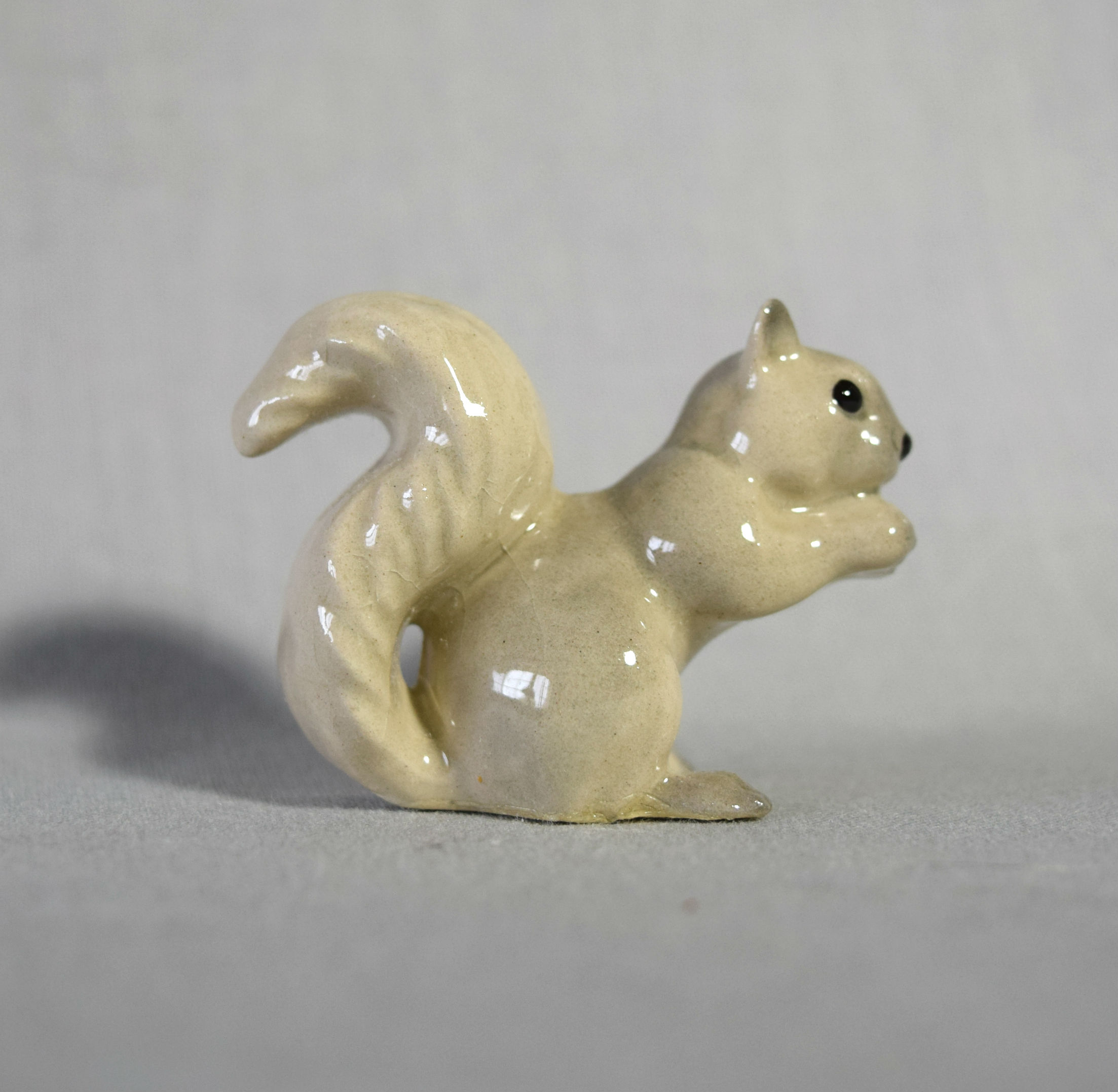 Squirrel Mama, gap in tail-image