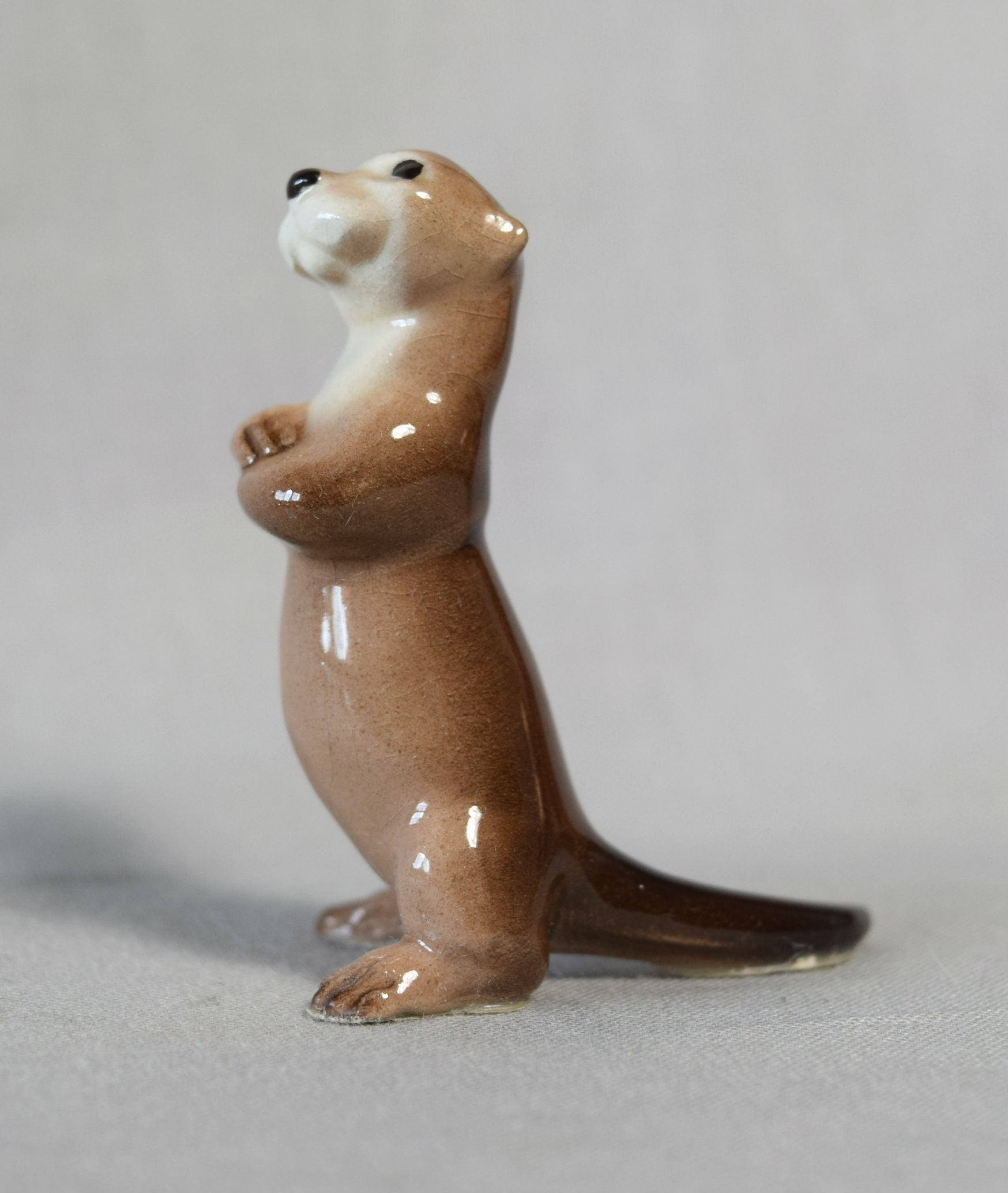 Otter standing-image