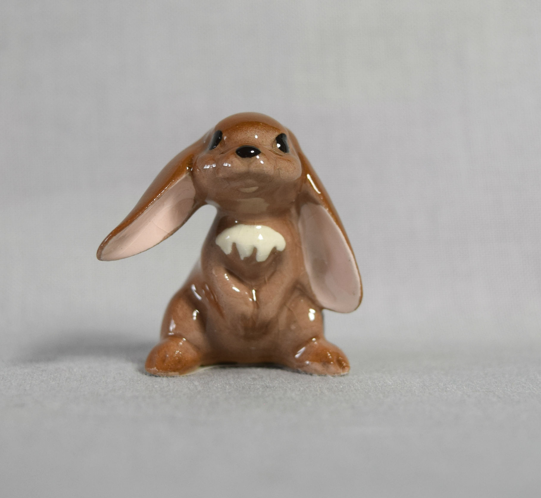 Lop-eared Rabbit, on hind legs-image