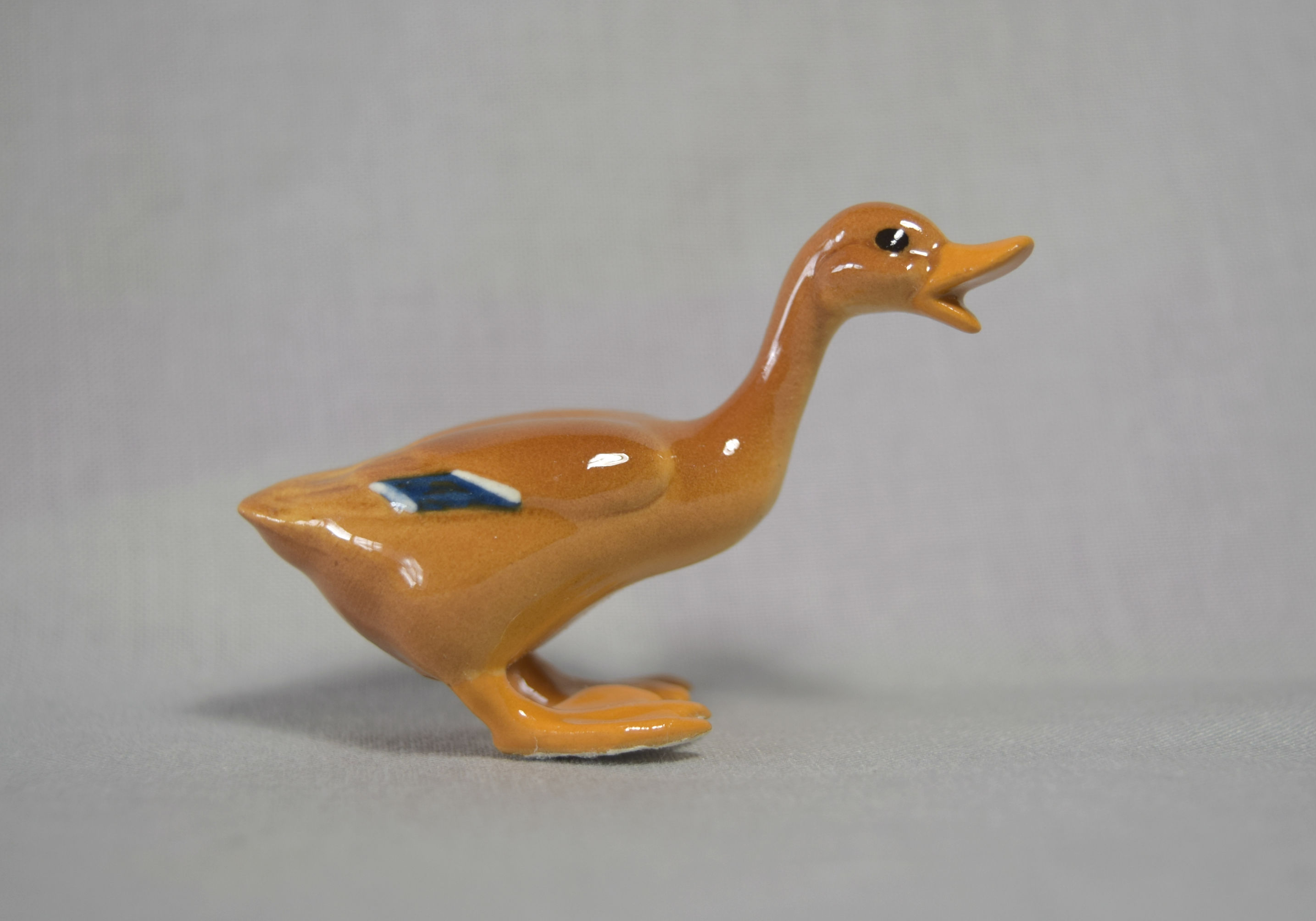 Mallard Duck, mouth open main image