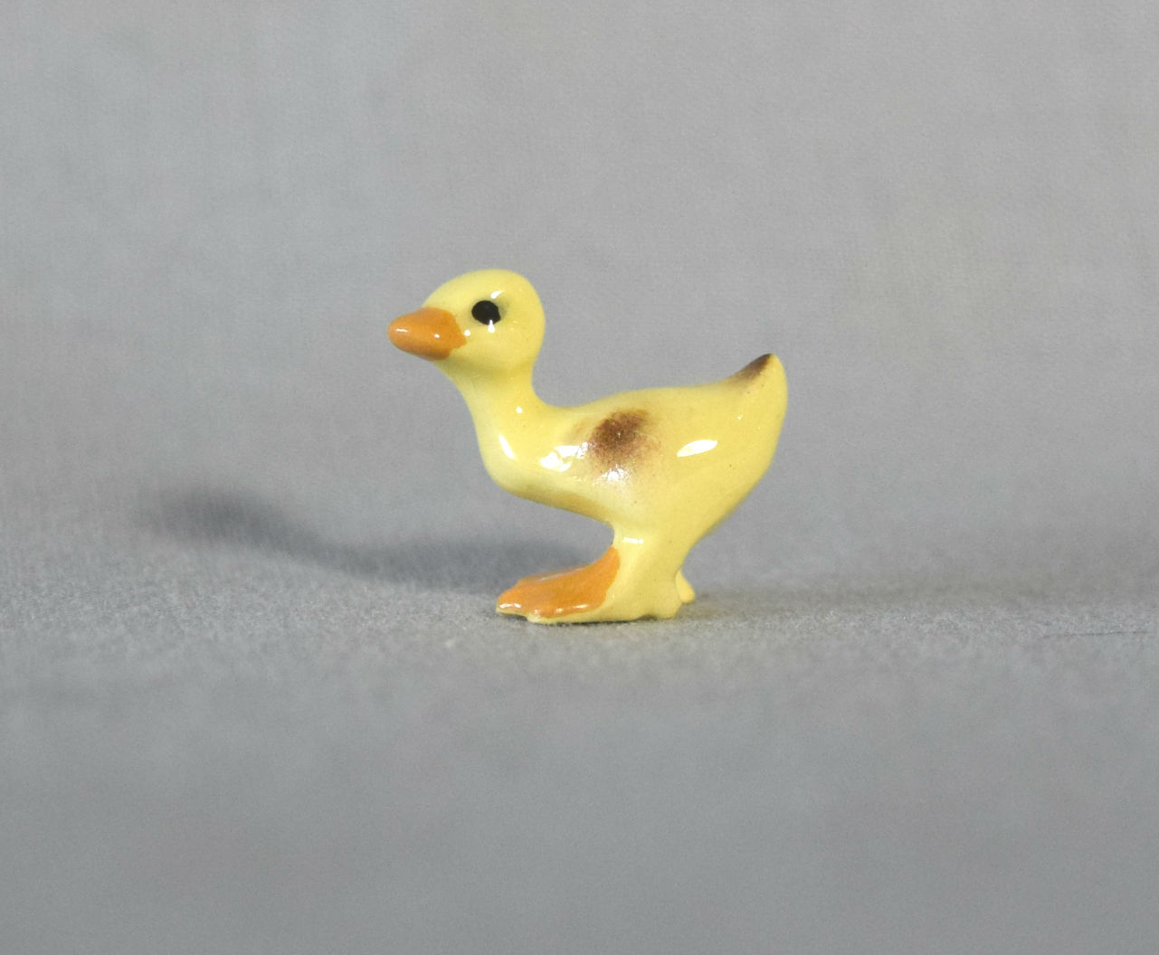 Mallard Duckling, stooping  -image