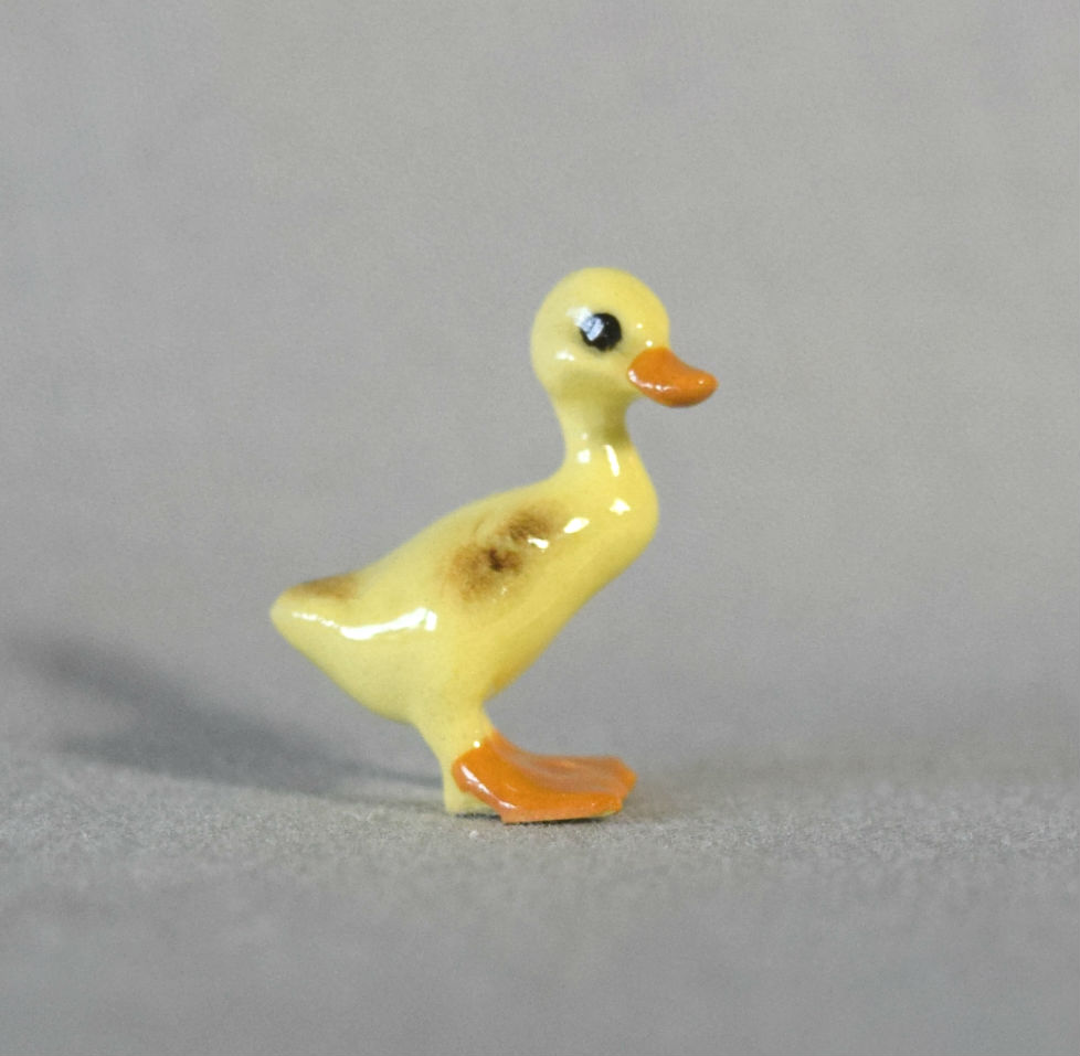 Mallard Duckling, wings down-image