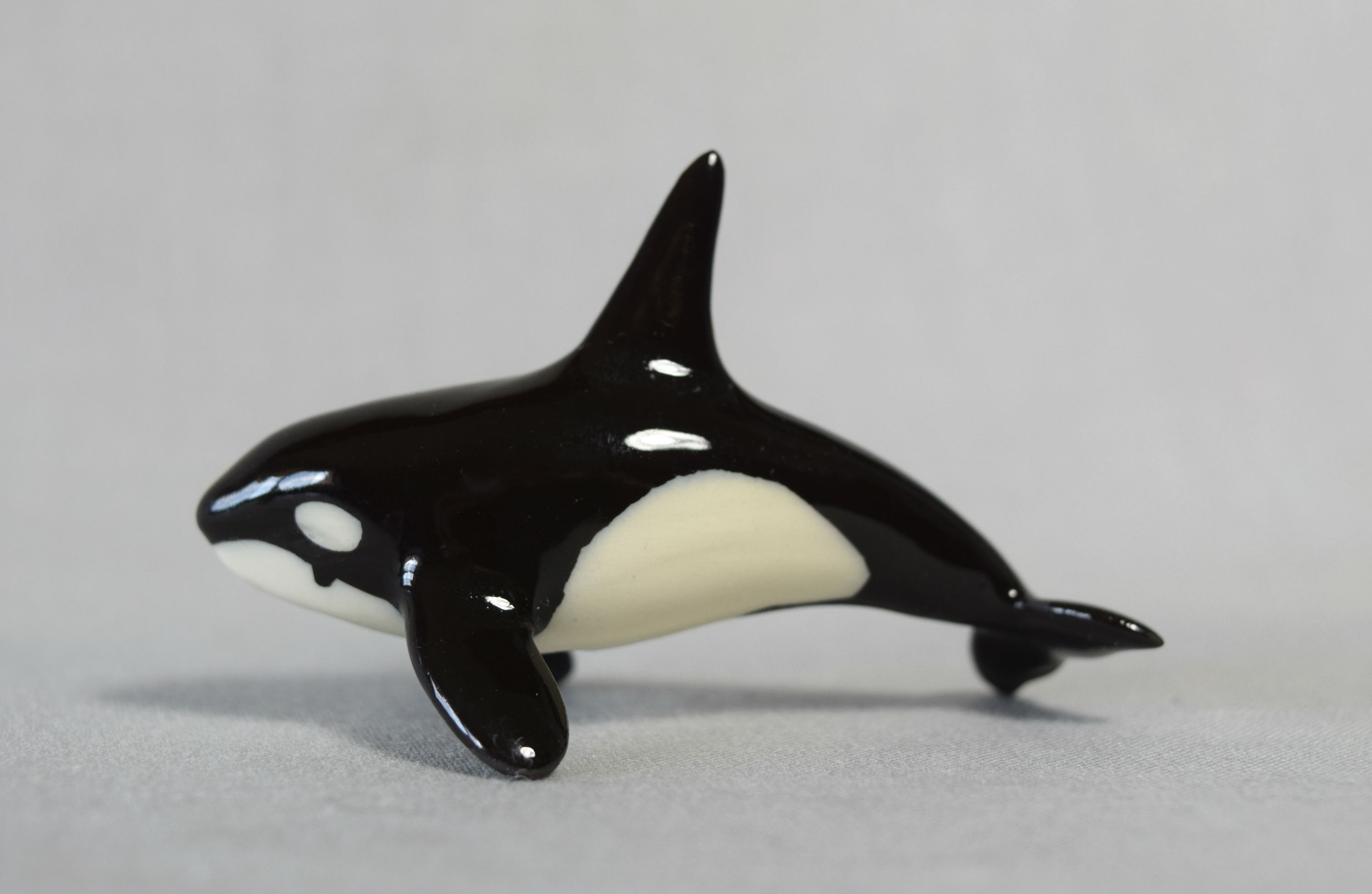 Killer Whale “Sam”-image