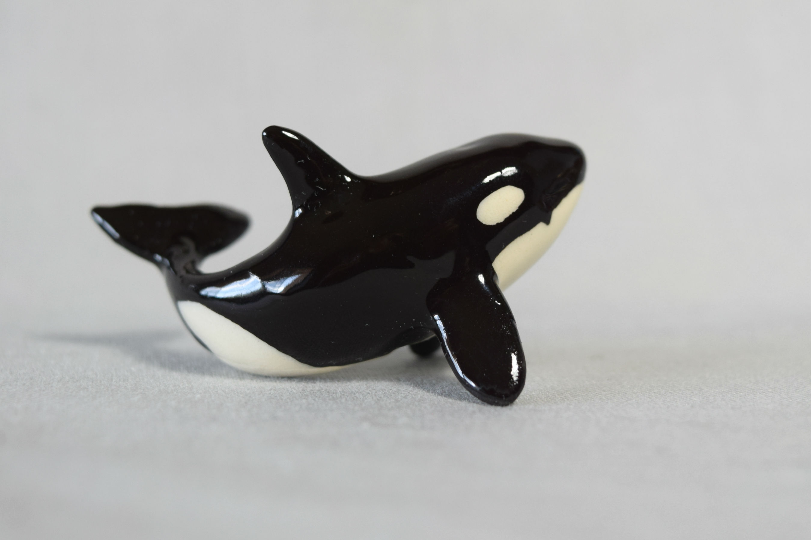 Killer Whale “Lotta”-image