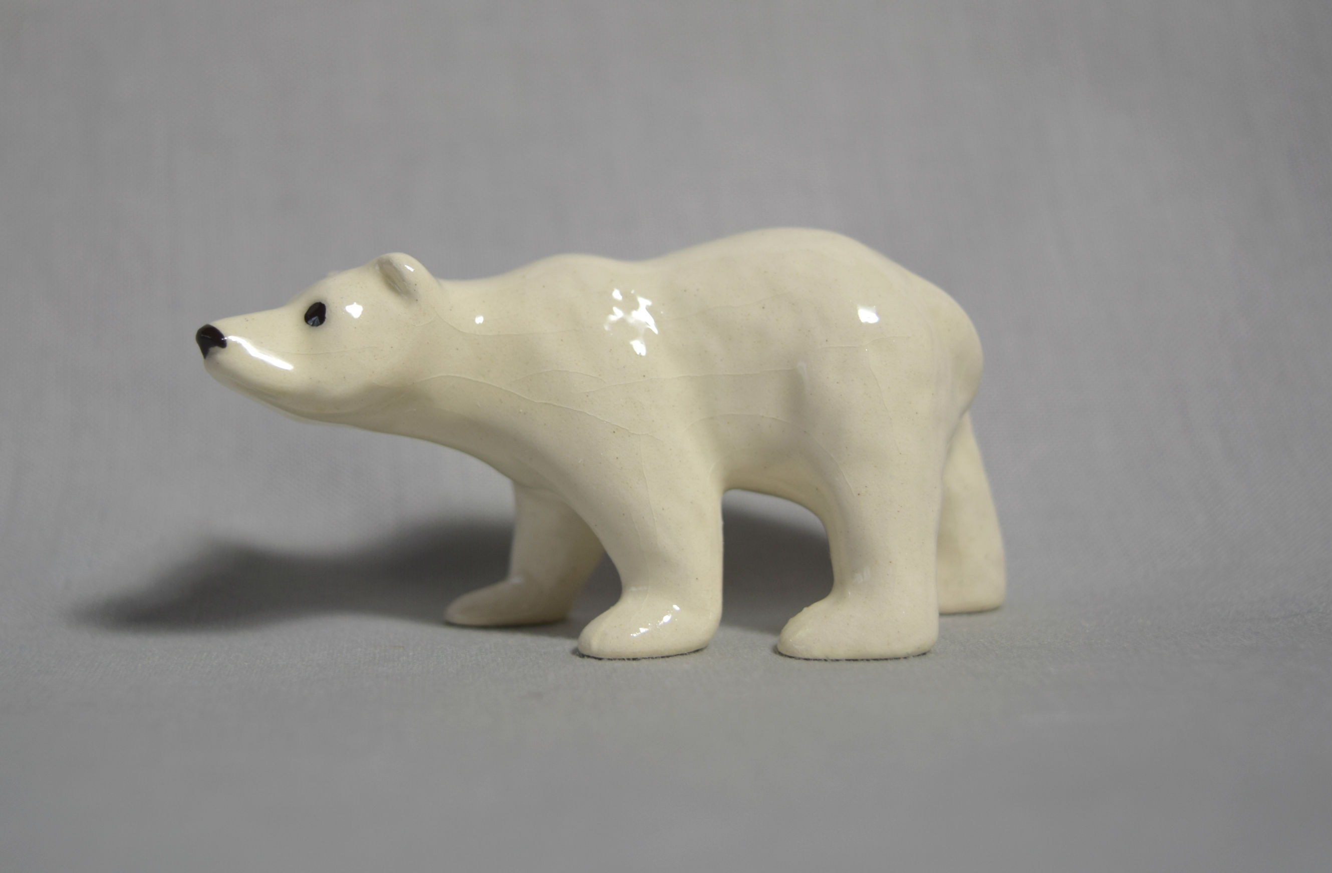 Polar Bear-image