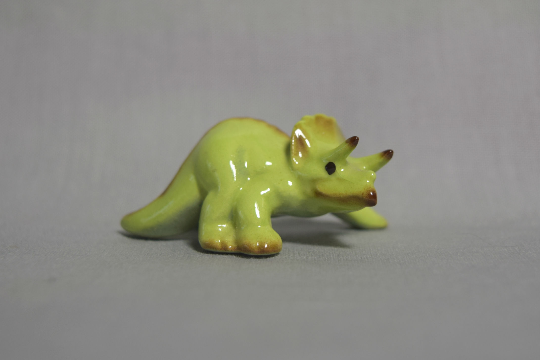 Triceratops-image