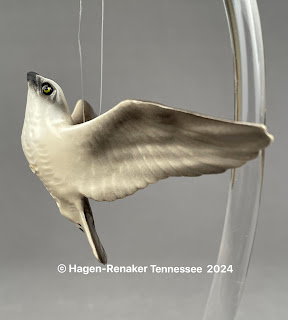 Falcon-image