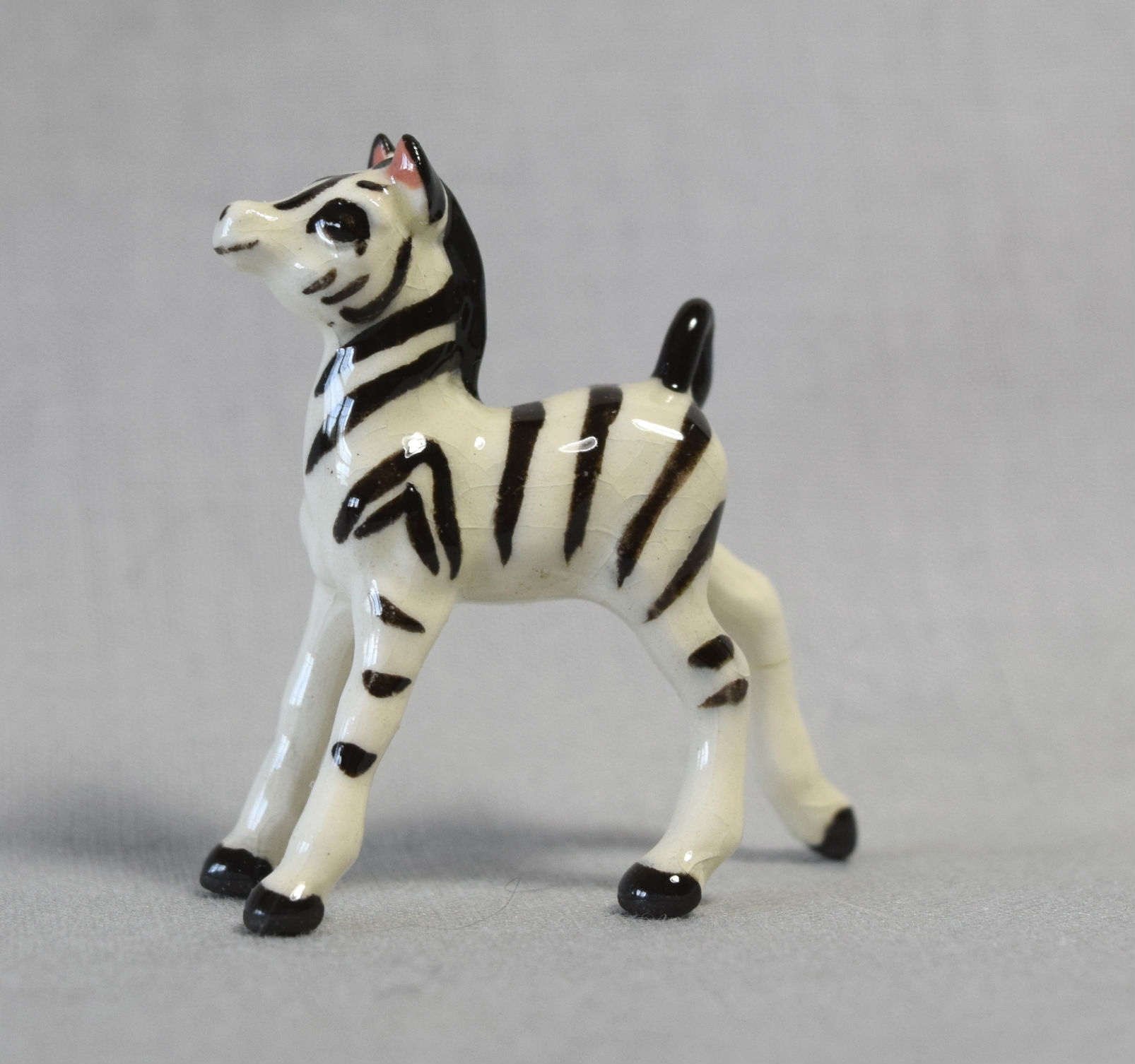 Zebra baby, rear leg extended-image