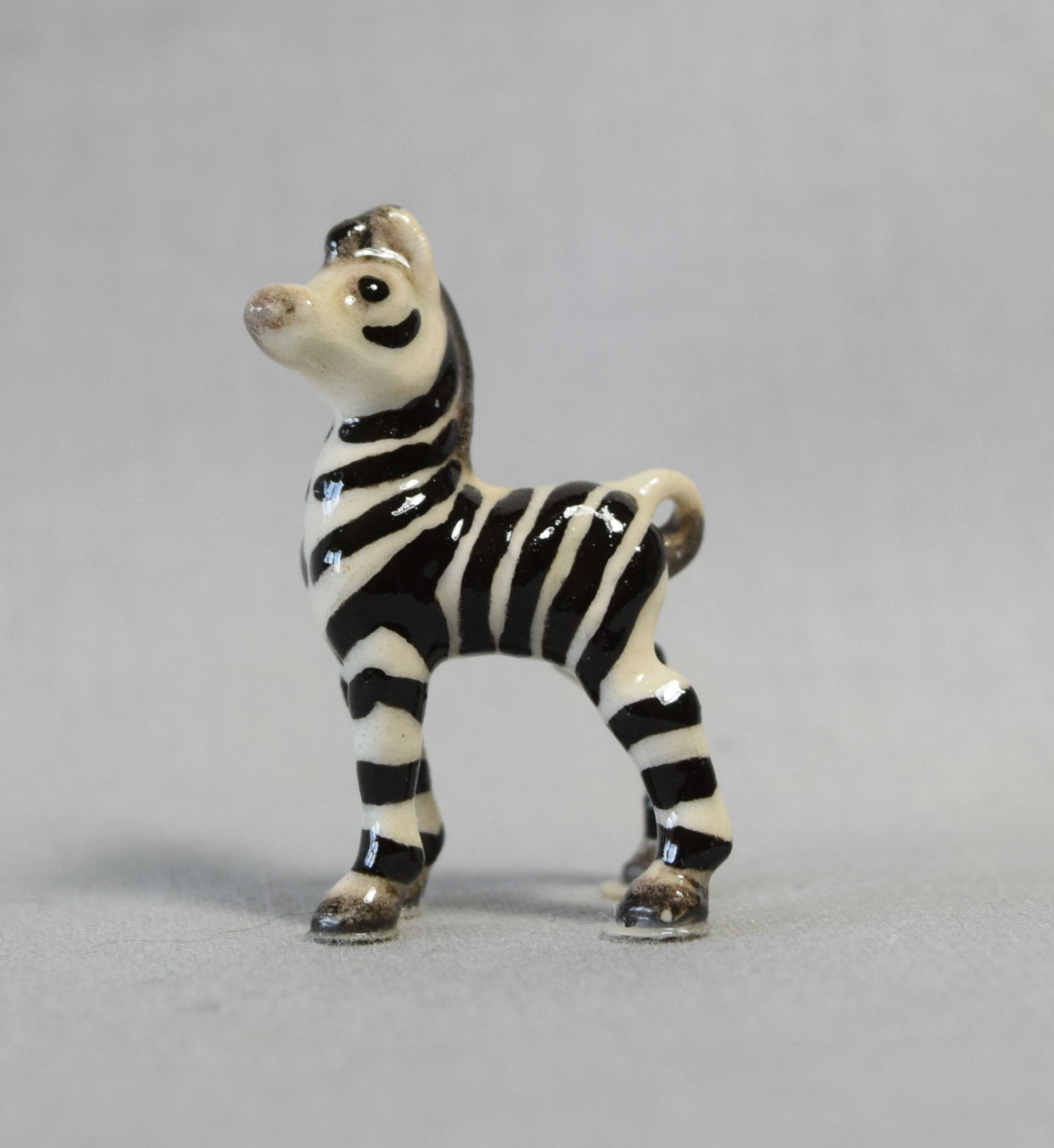 Zebra baby, standing-image