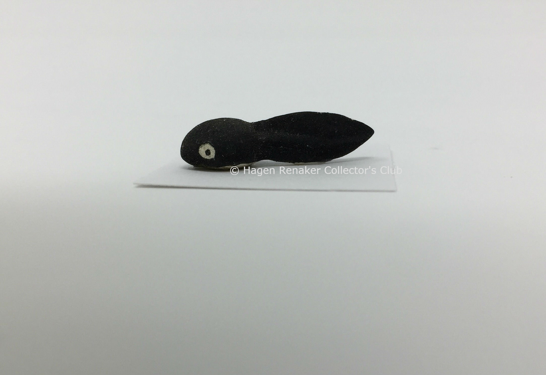 Tadpole-image