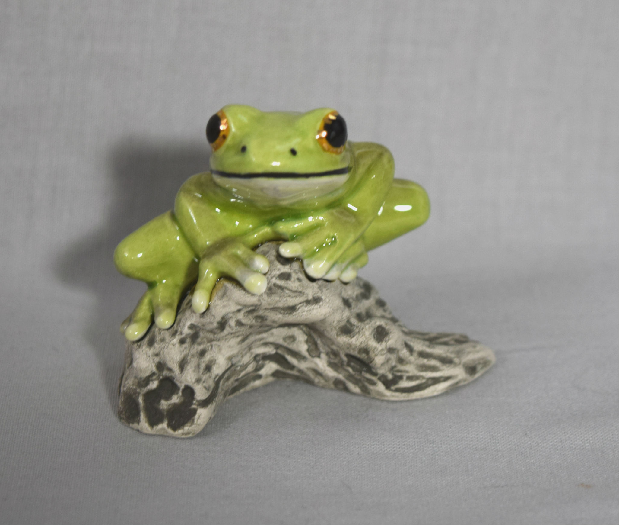 Tree Frog-image